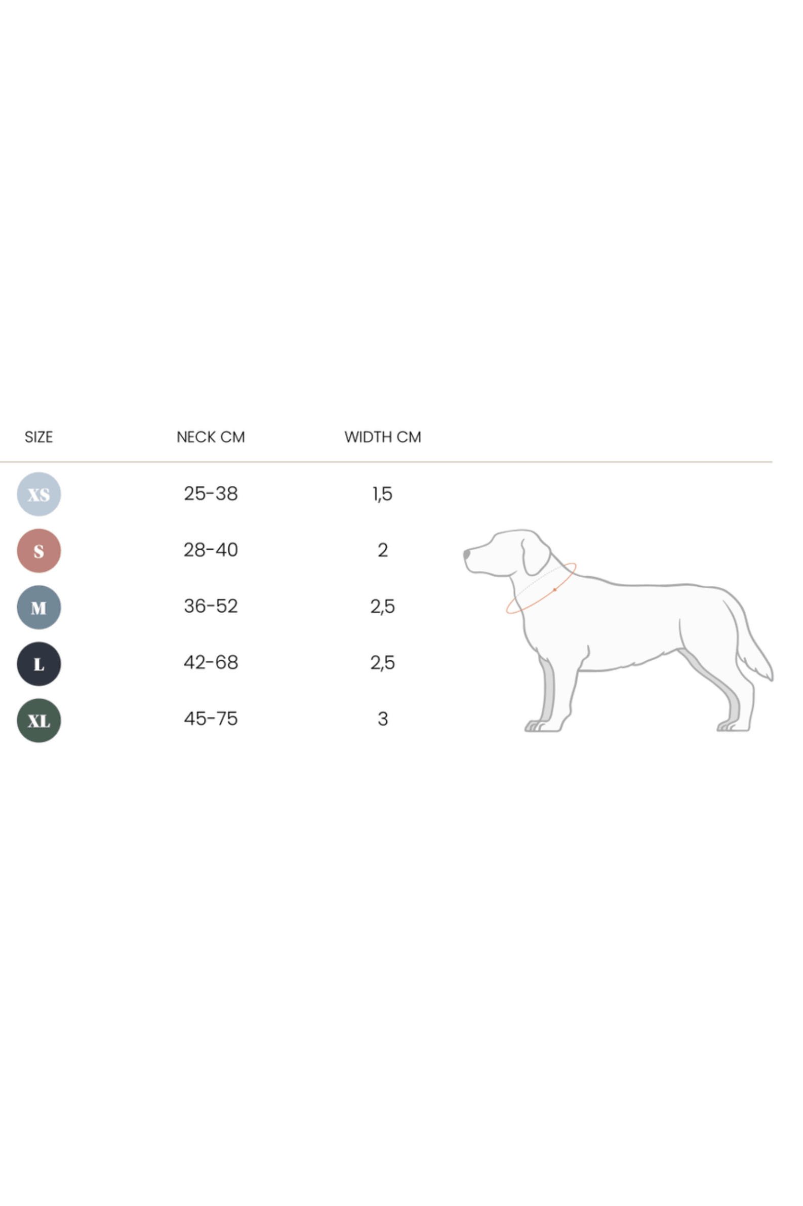 chart.jpg