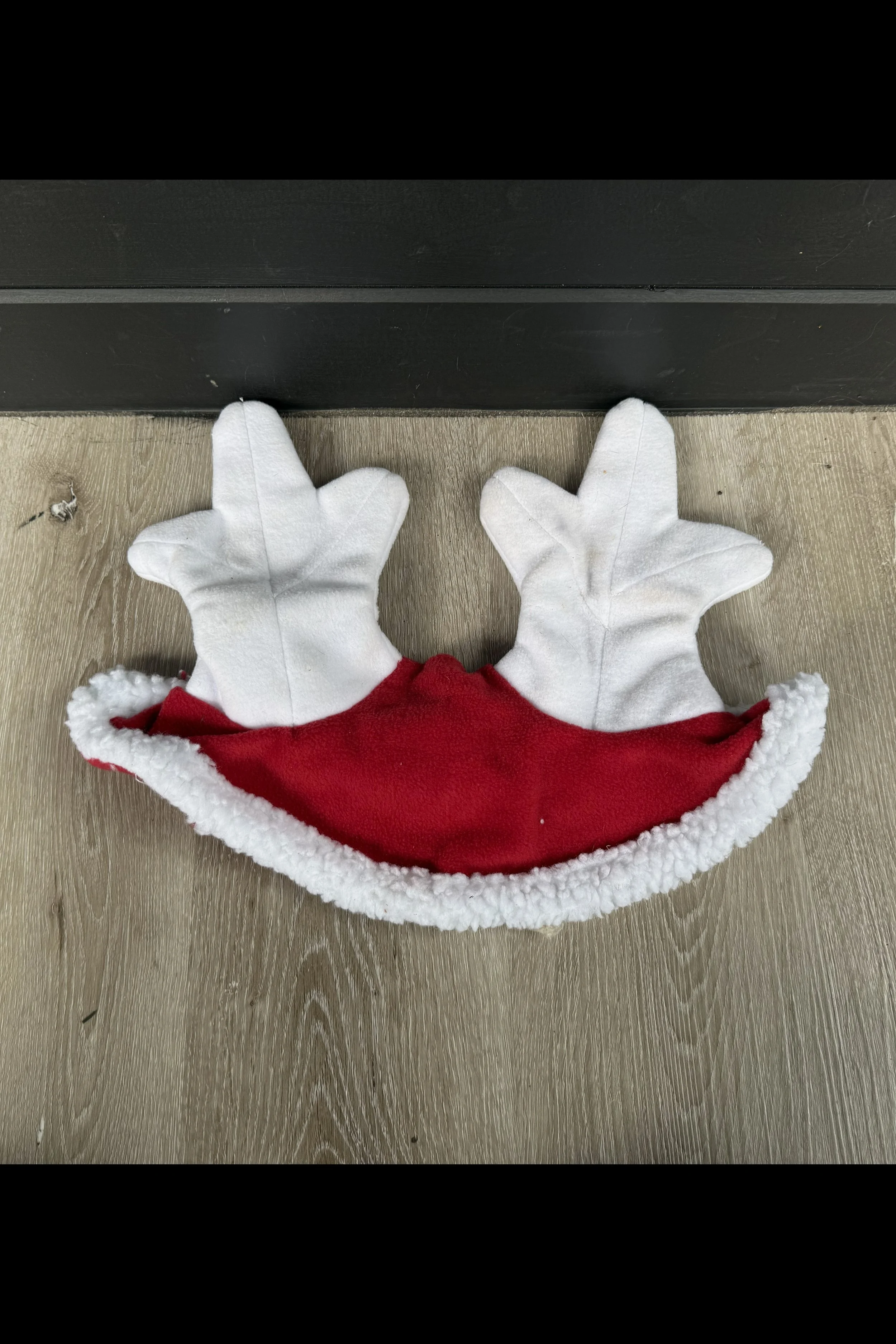 reindeer.jpg