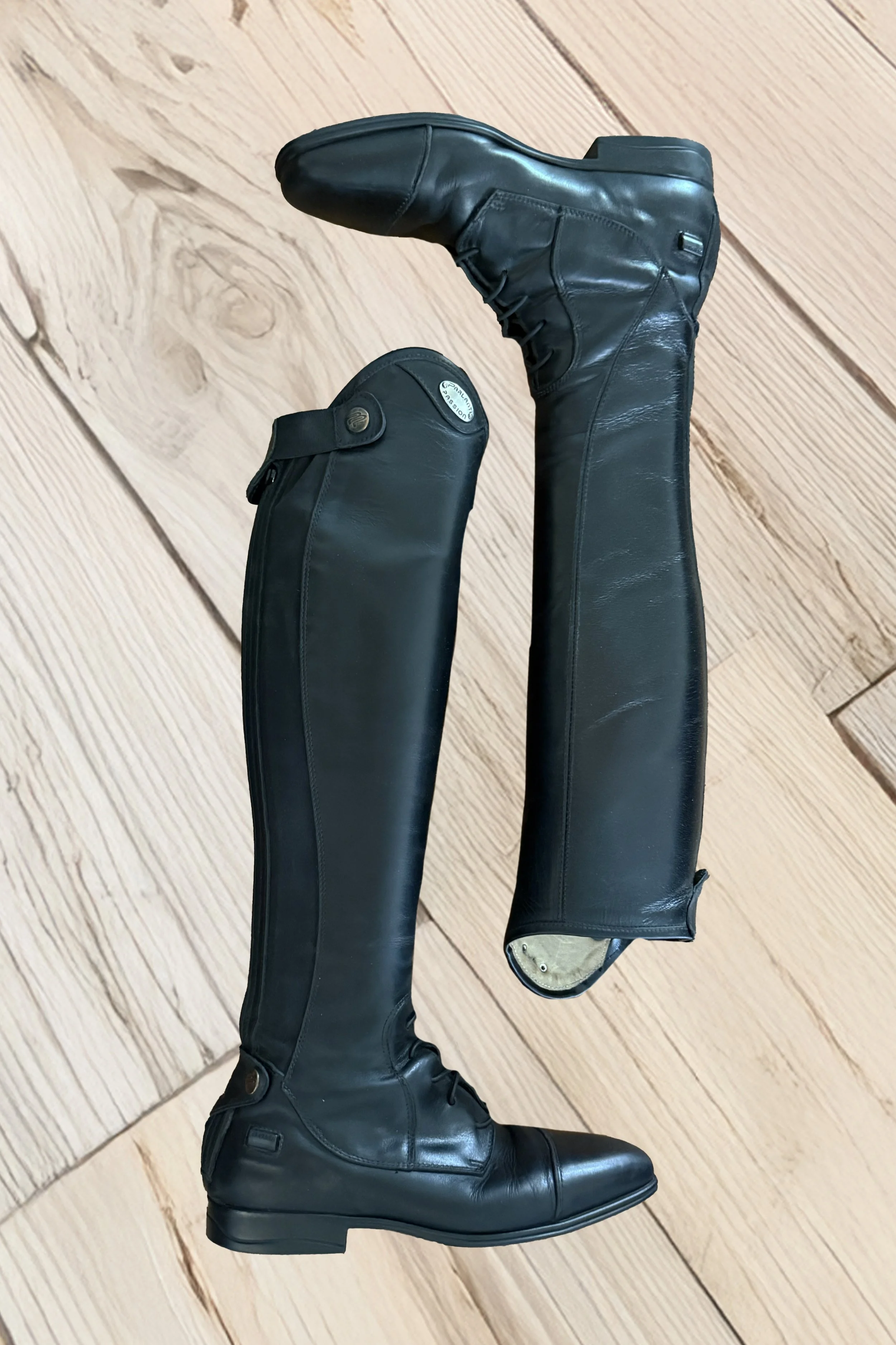 Fancy Boots 1 .jpg