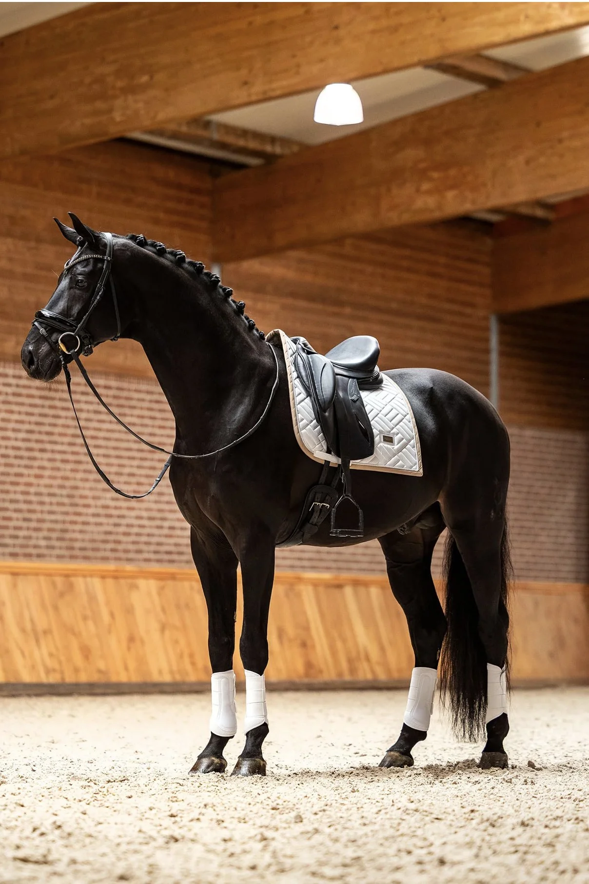 Dressage White Sand 4.jpg