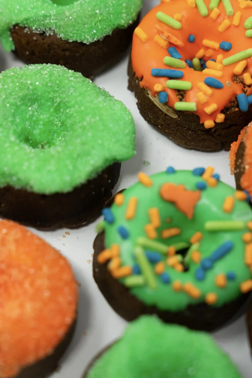 The Posh Pony Mini Donuts - DINOMYTE DONUTS