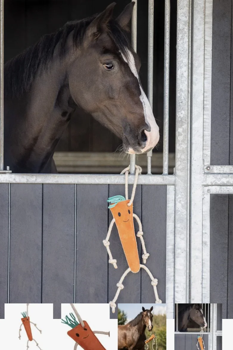QHP Horse Toy - Carrot