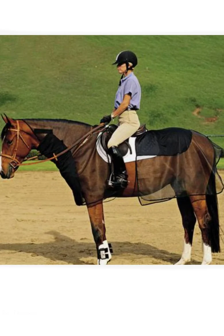Cashel Quiet Ride Bug Armor Horse Fly Sheet In Black