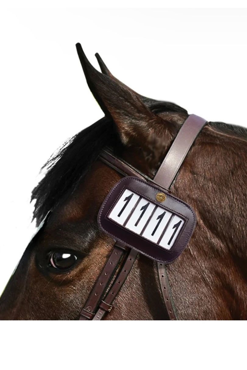Plughz Leather Competiton Number In Havana Brown - 2nd Round Equestrian