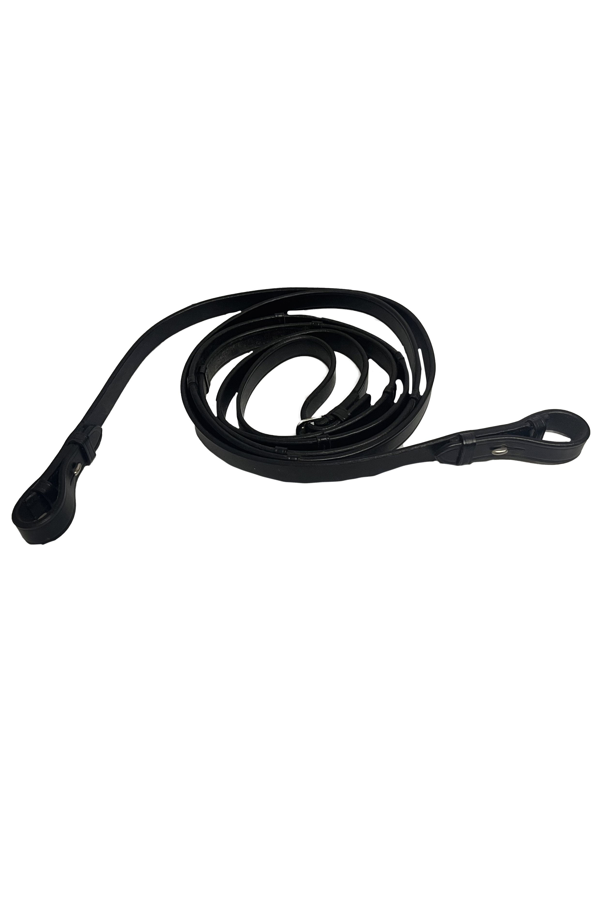 leather reins .jpg