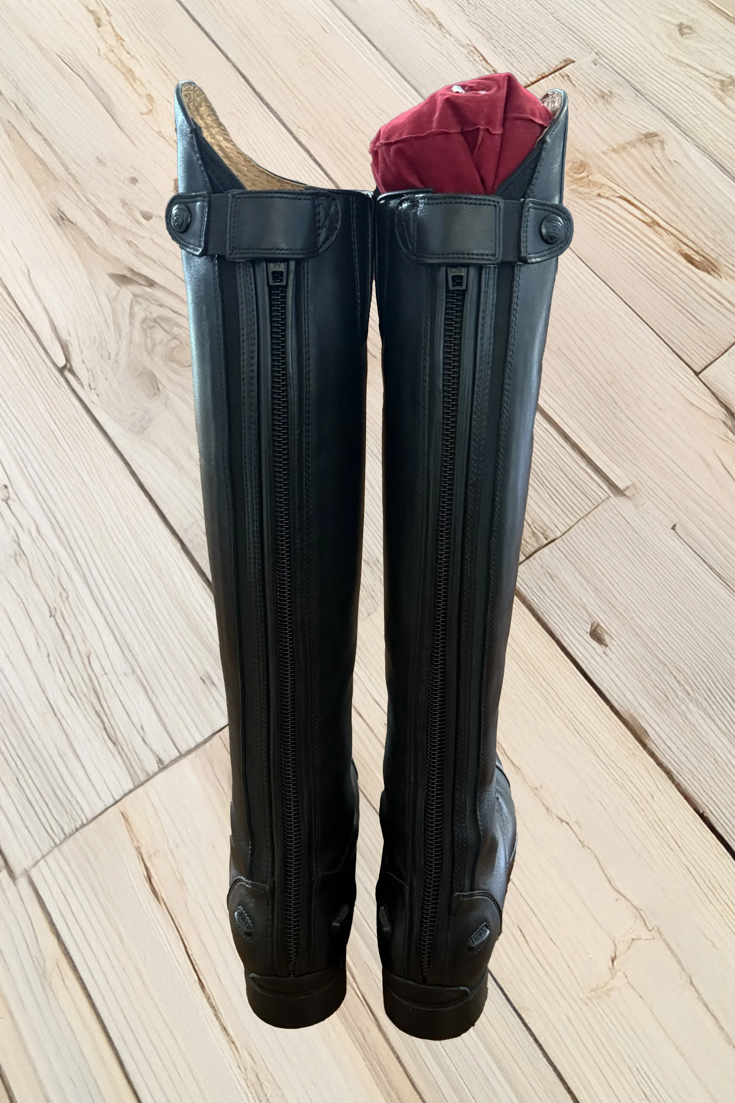Ariat 3.jpg