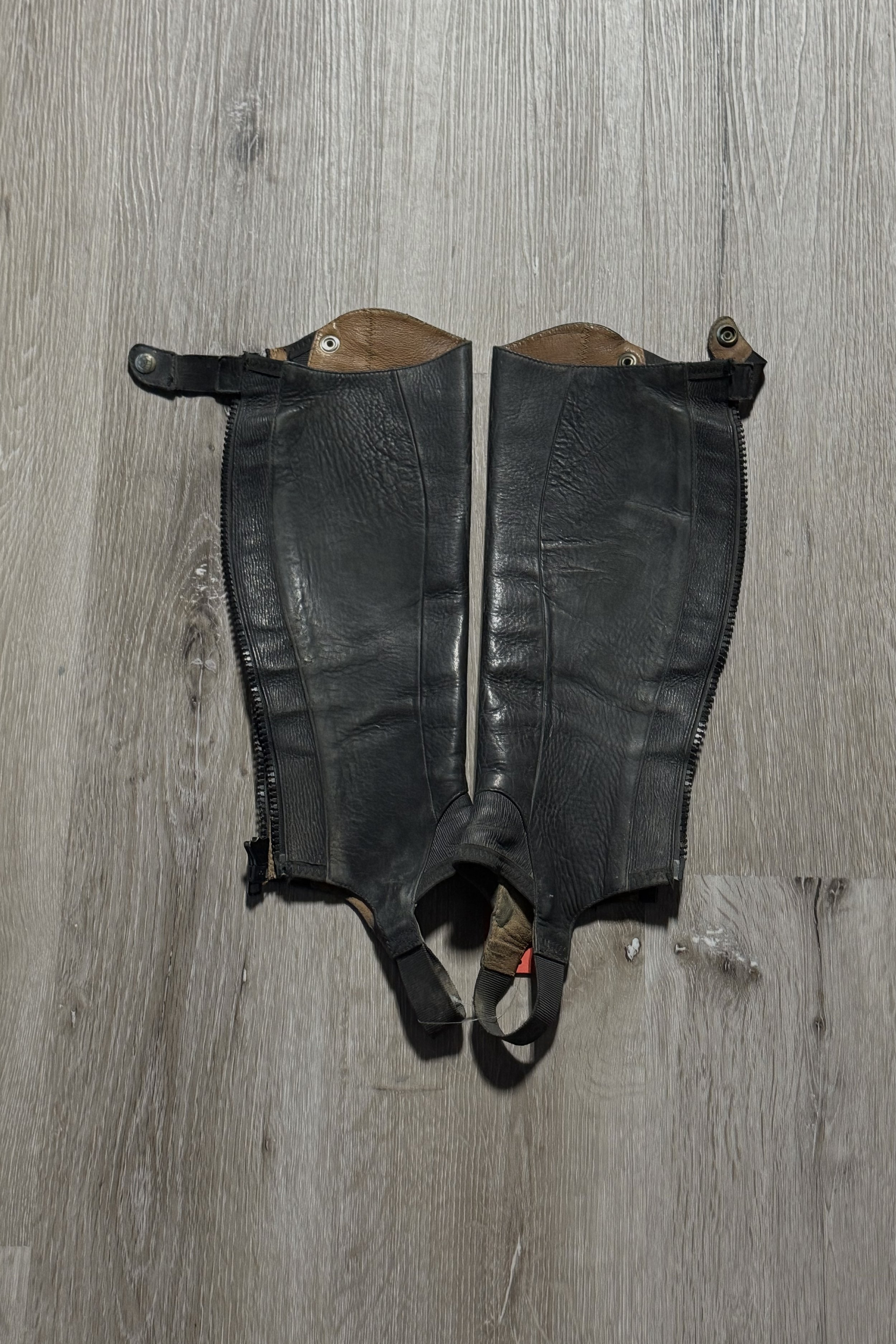 Ariat Half chaps 2 .jpg