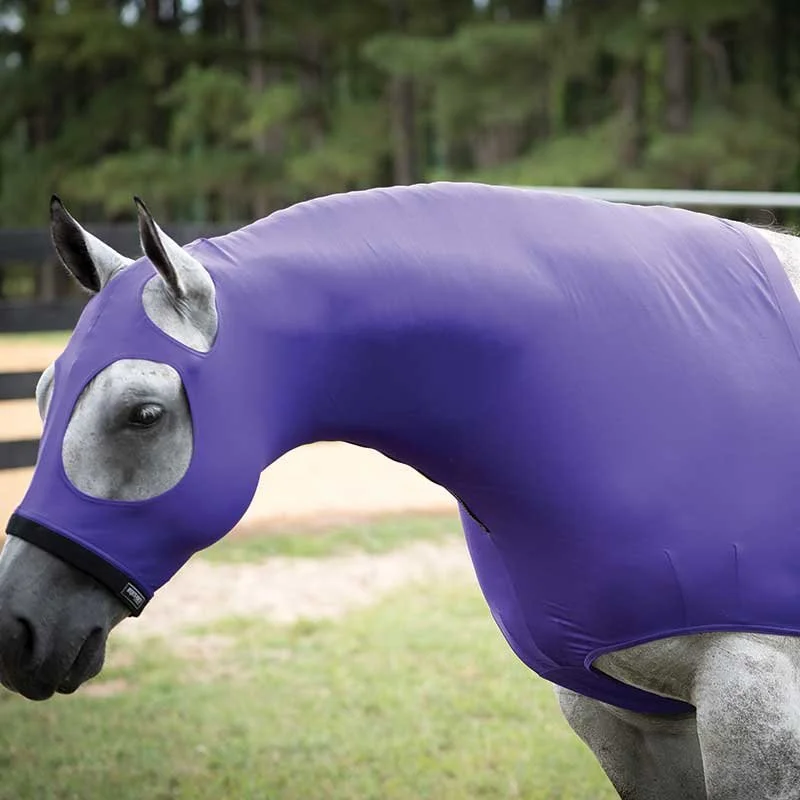 purplemanestay.jpg
