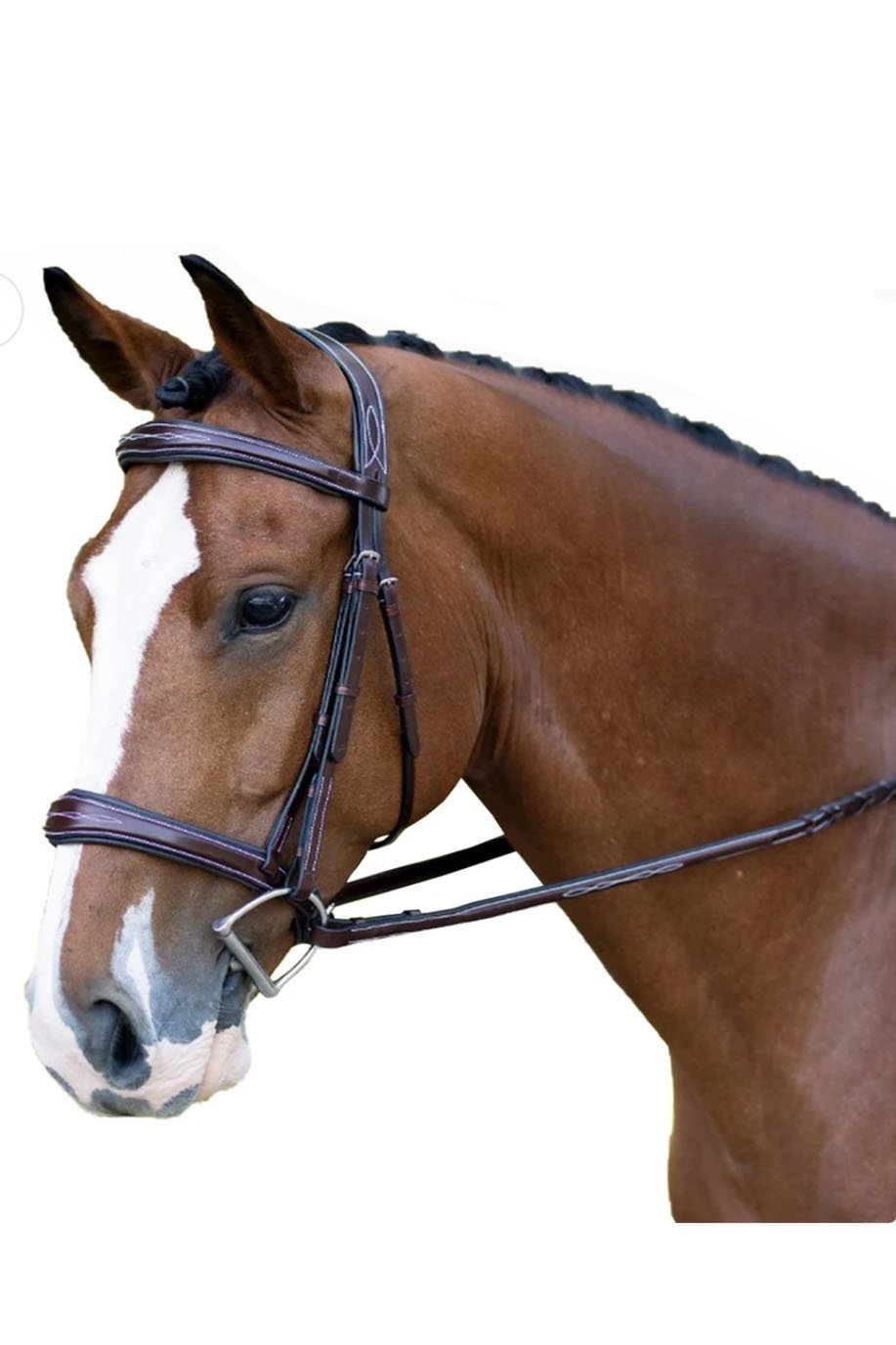KL Select Hampton Bridle In Brown - 2nd Round Equestrian
