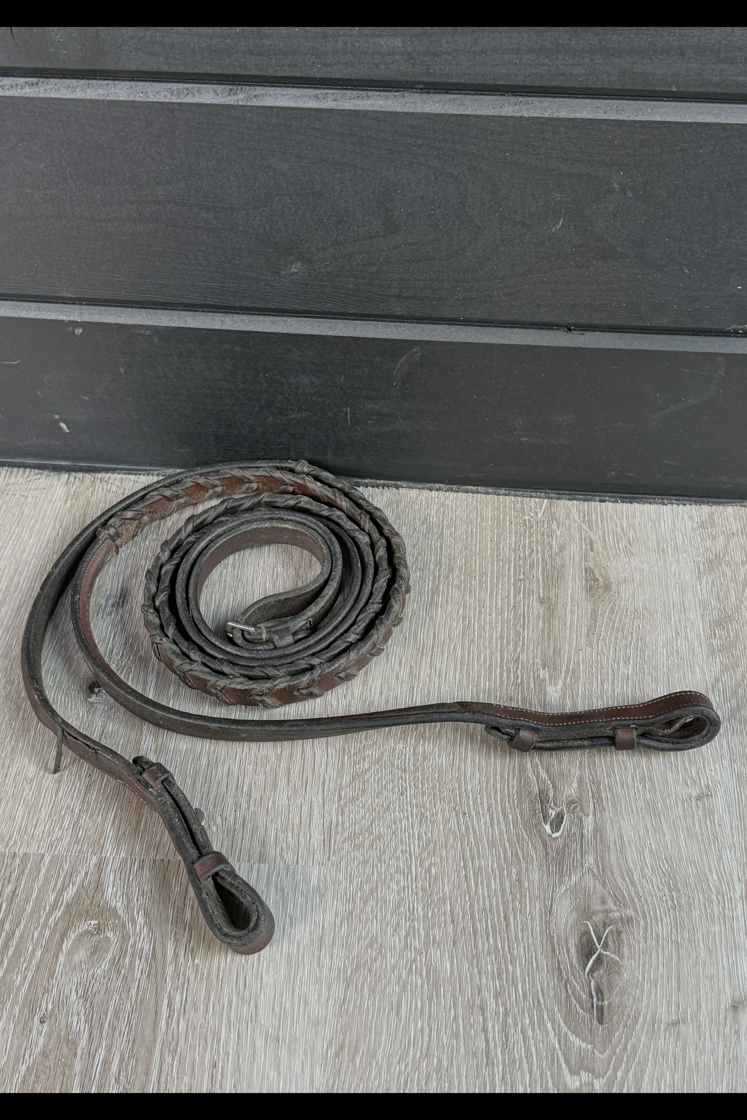 laced reins .jpg