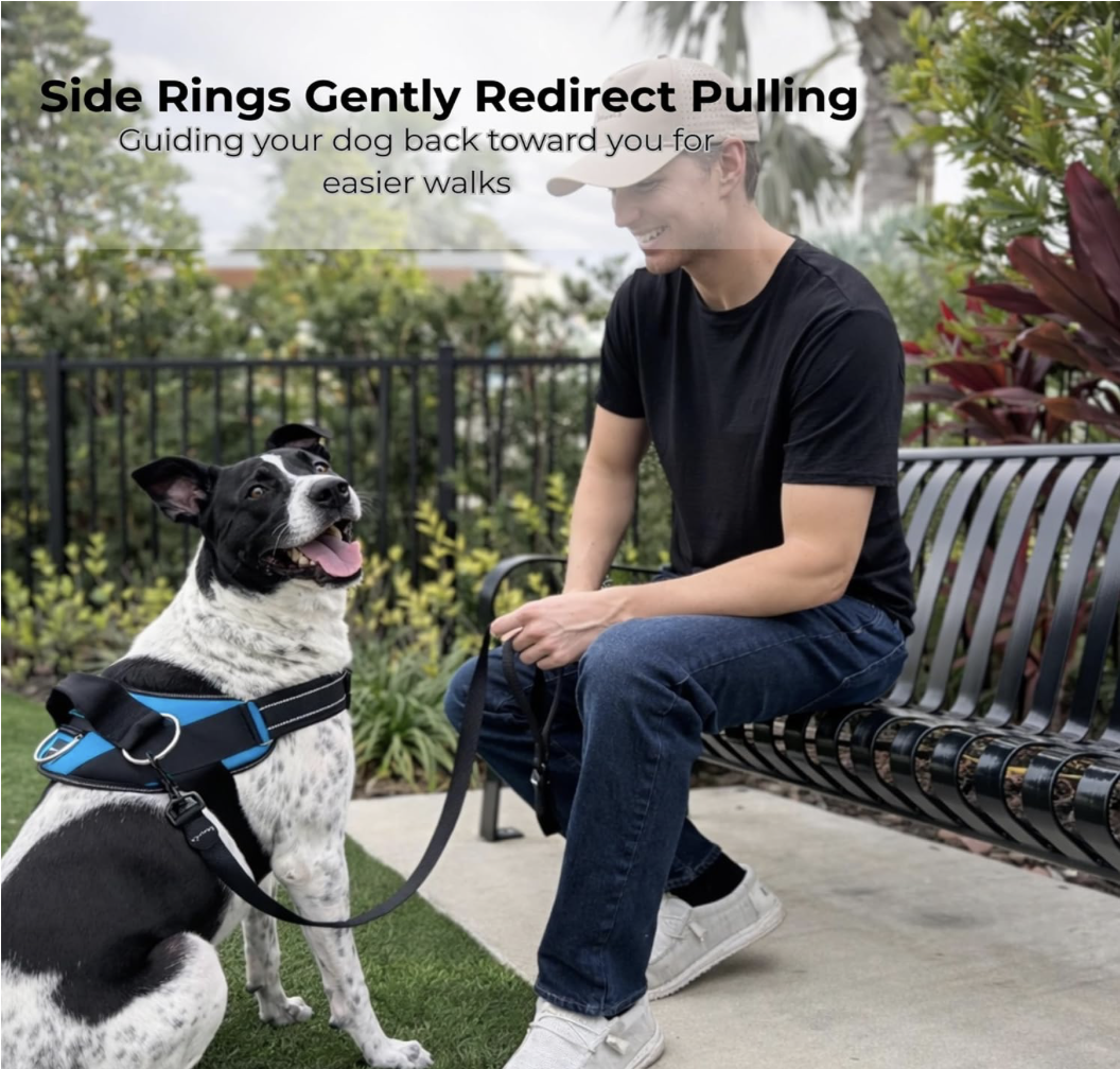 Screenshot 2026-04-01 at 9.02.22 PM.png (Copy)