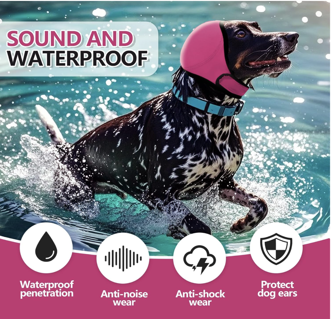 Screenshot 2026-04-02 at 7.50.45 PM.png