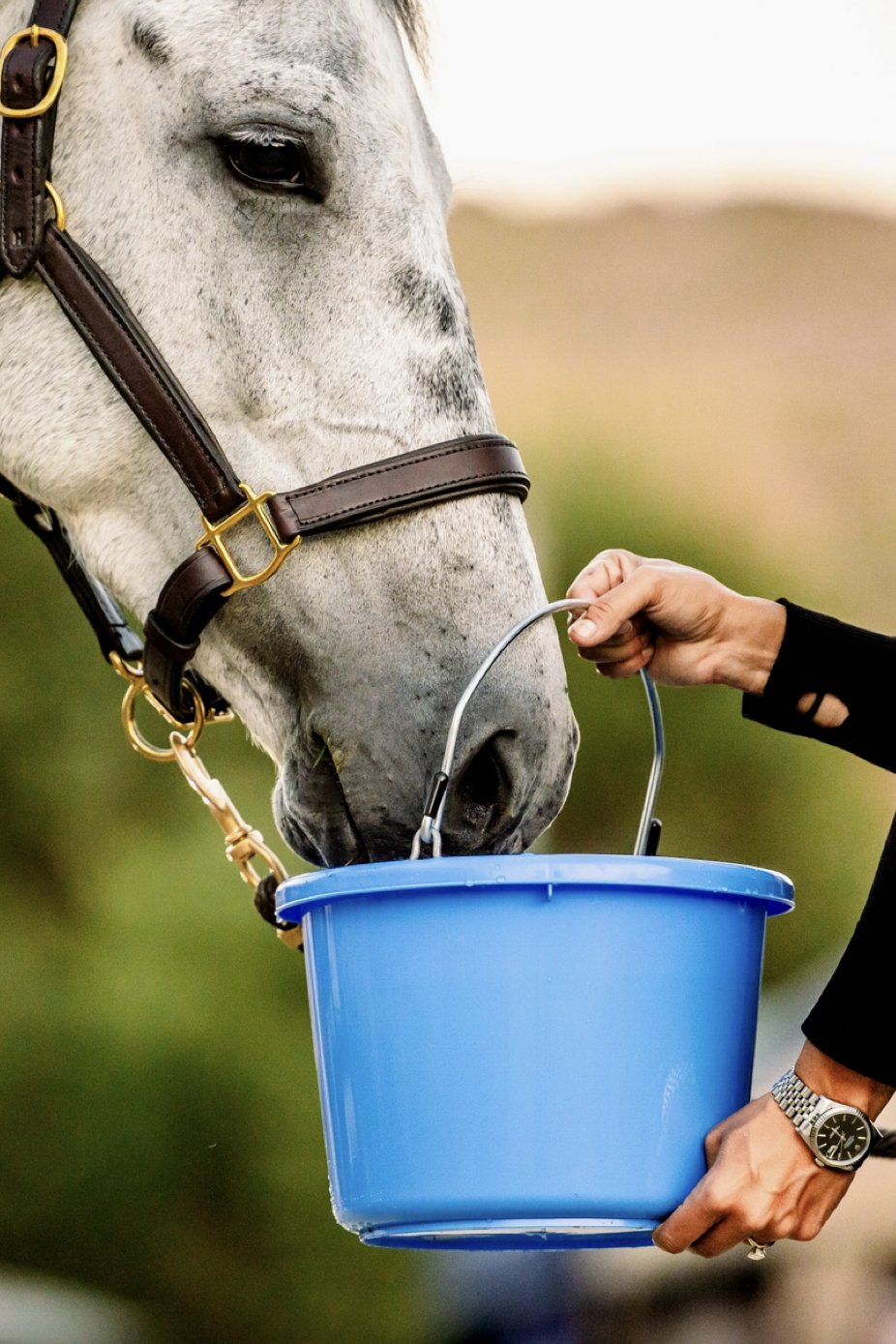 qh-4.jpg