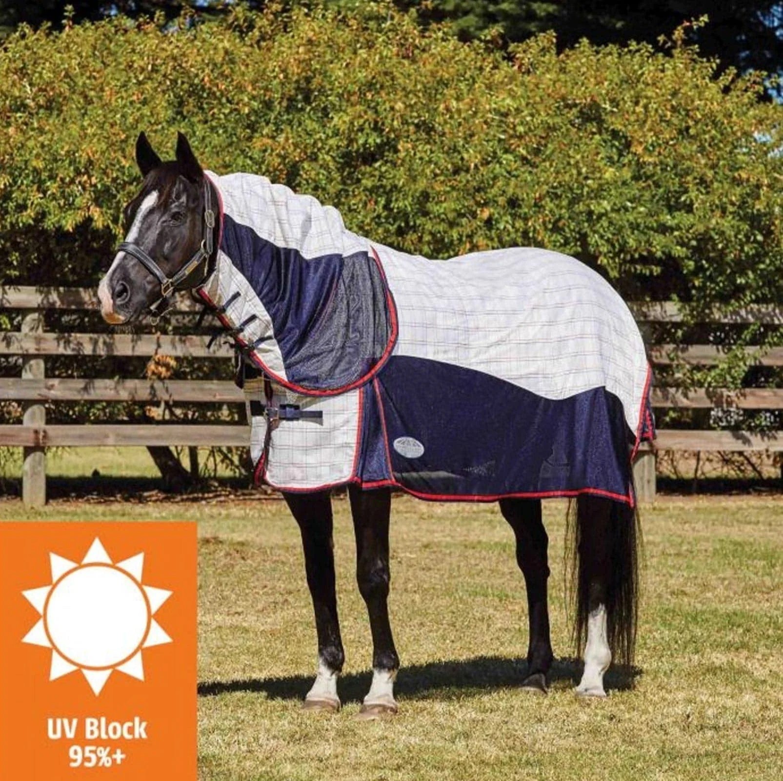 weatherbeeta-breeze-with-surcingle-iii-combo-neck-446142 copy.jpg