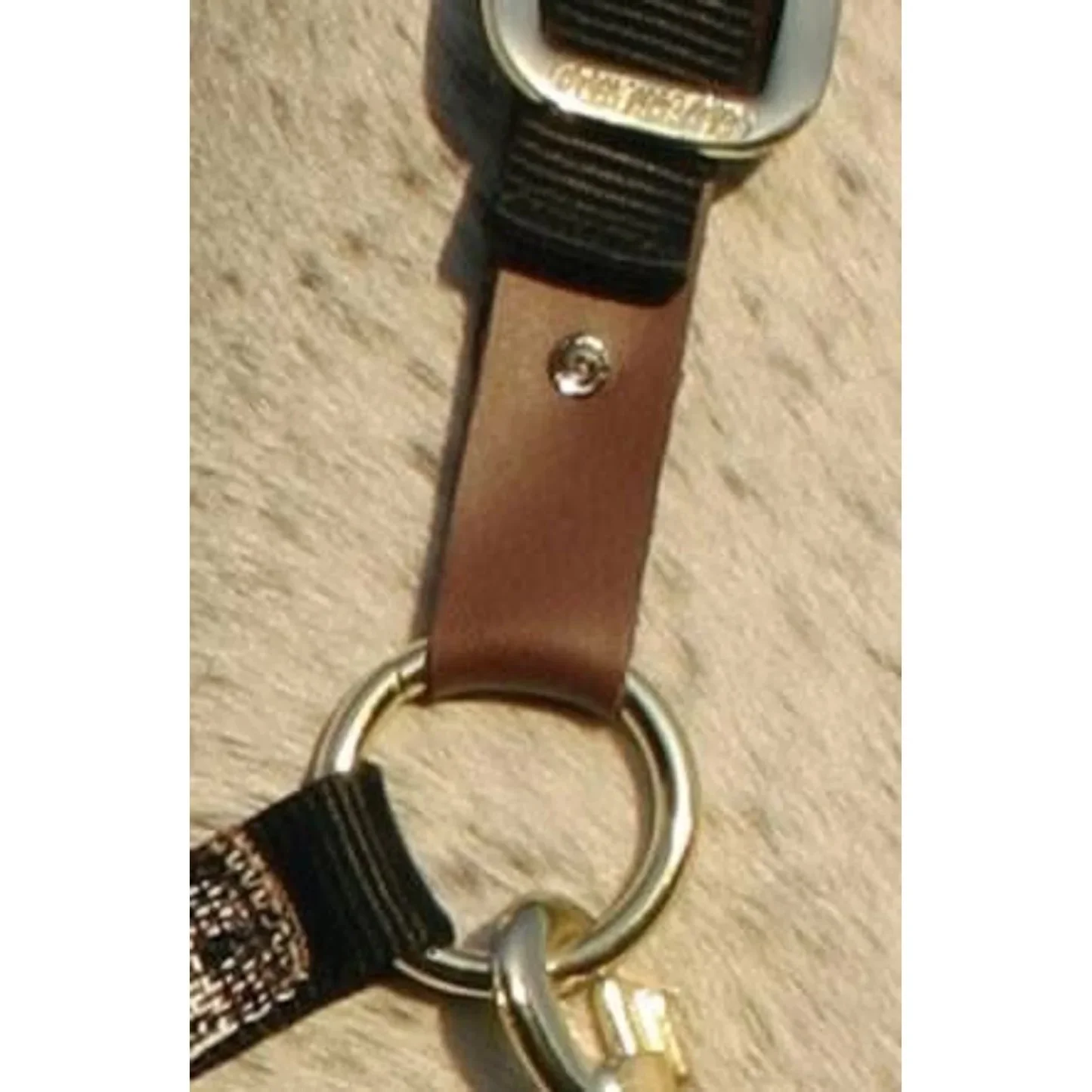 Leathers 1.jpg
