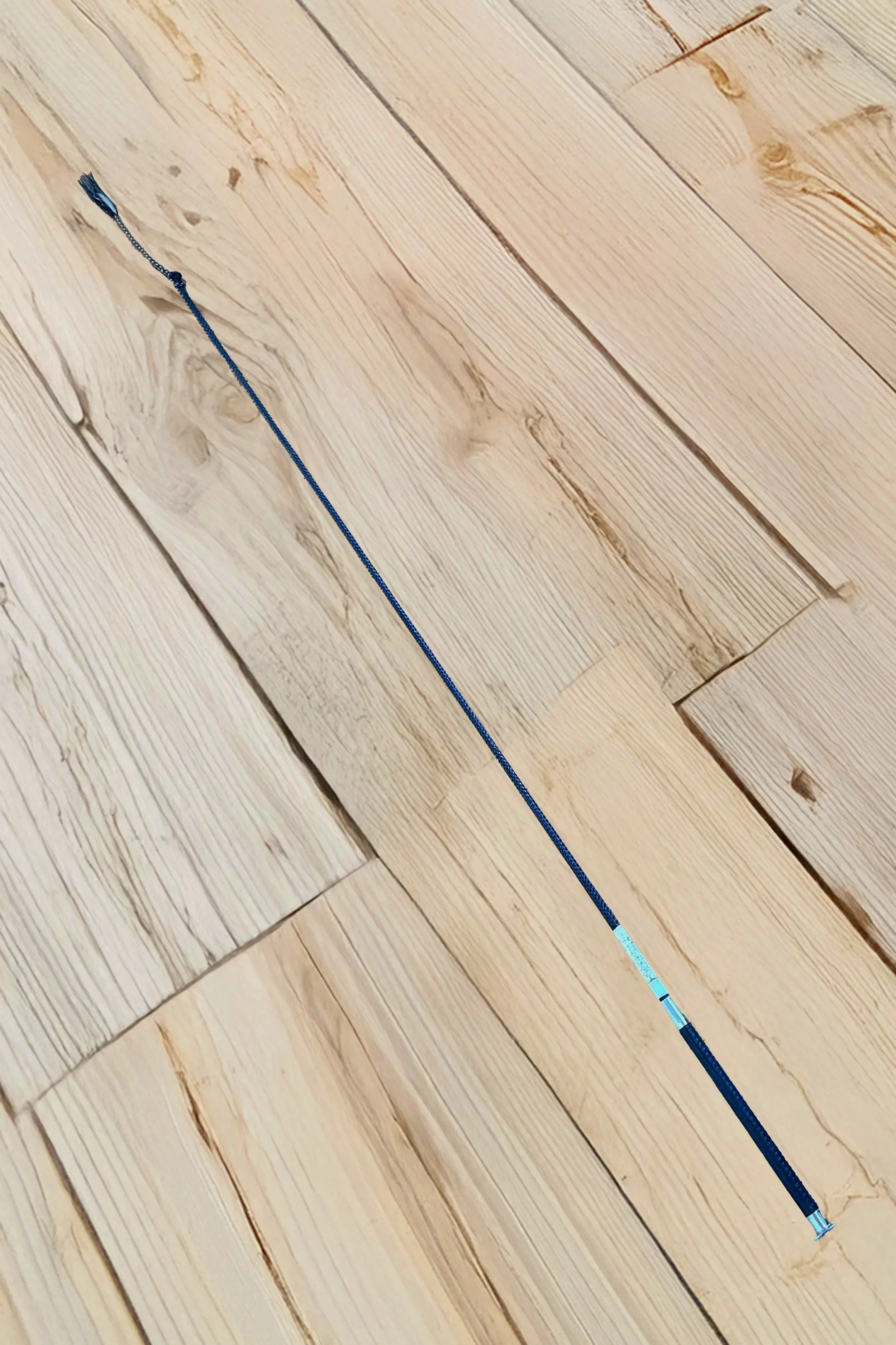 Whip+2+.jpg