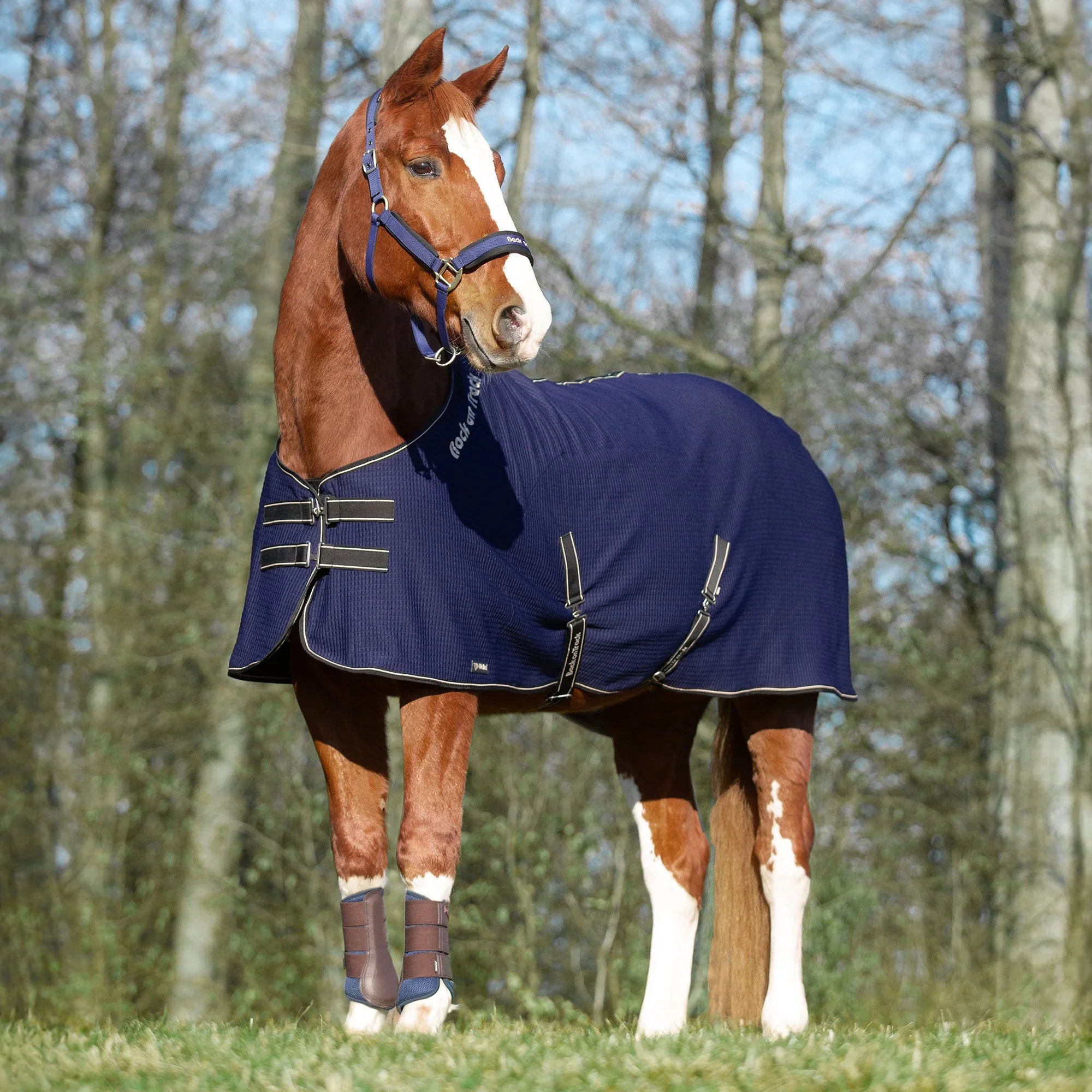 Back On Track Quick Cooler Sweat Blanket In Navy