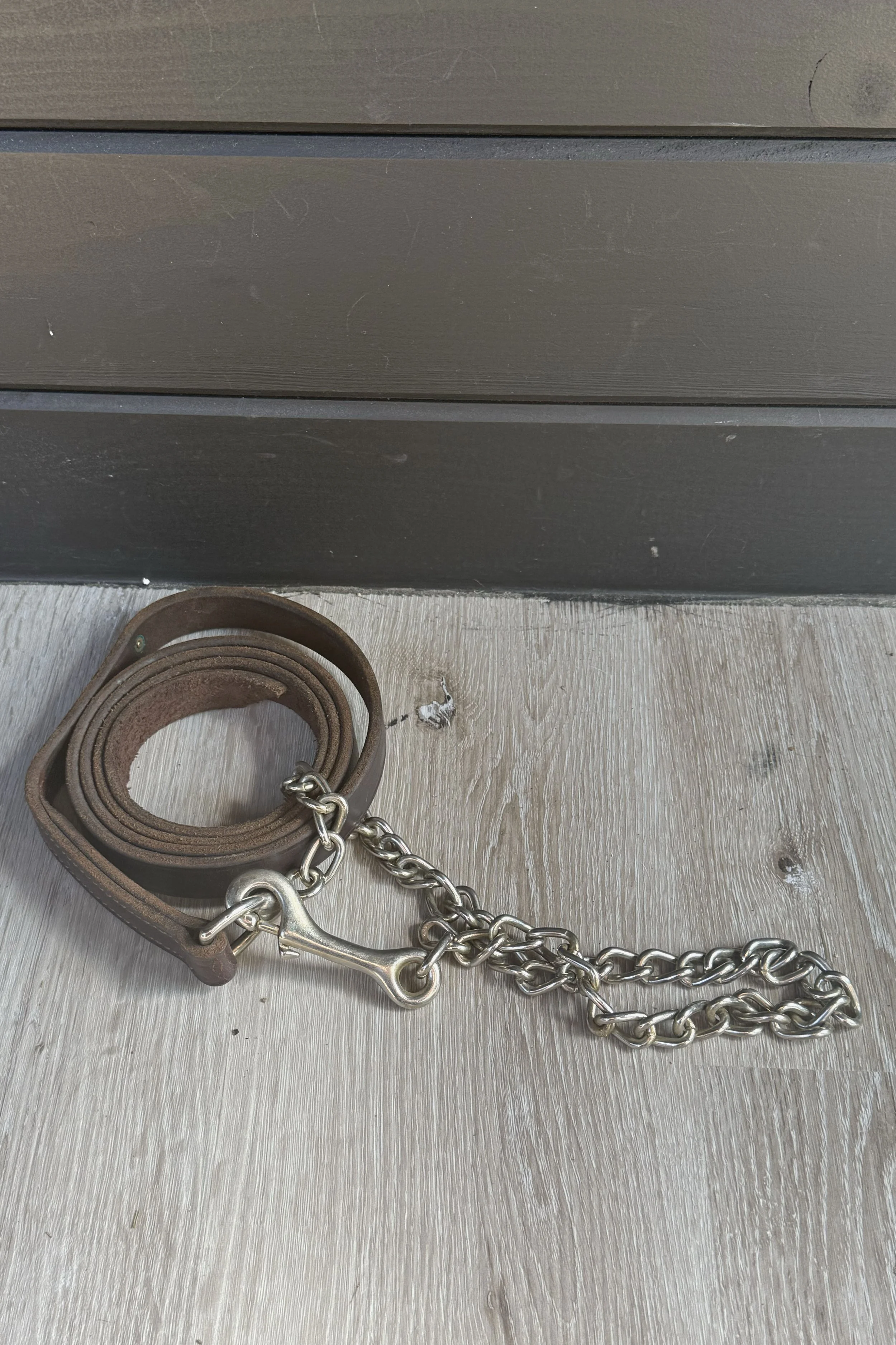 leather lead .jpg