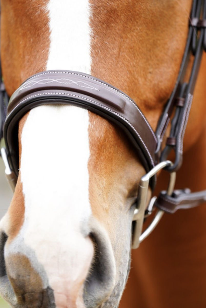 KL Select Black Oak Tupelo Hunter Bridle with Laced Reins - 2nd Round Equestrian