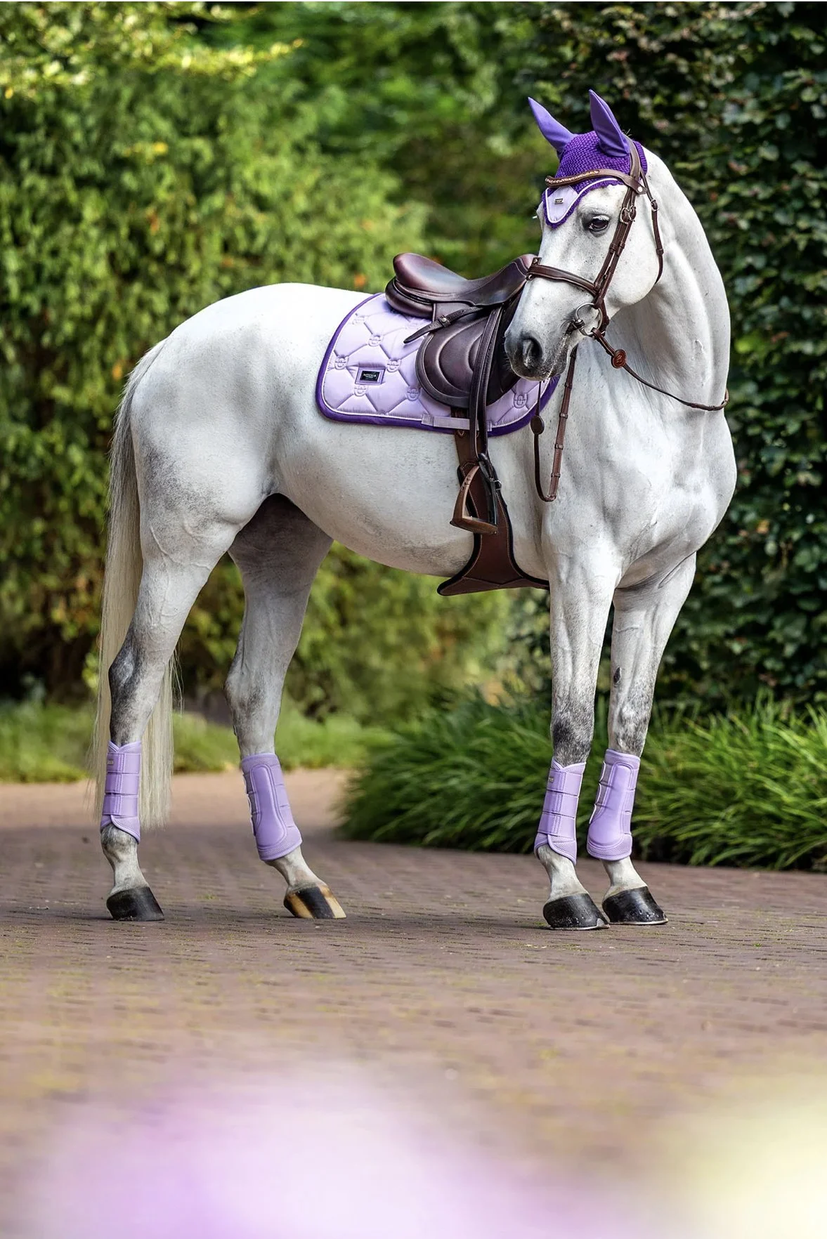 Equestrian Stockholm Jump Saddle Pad In LAVENDER