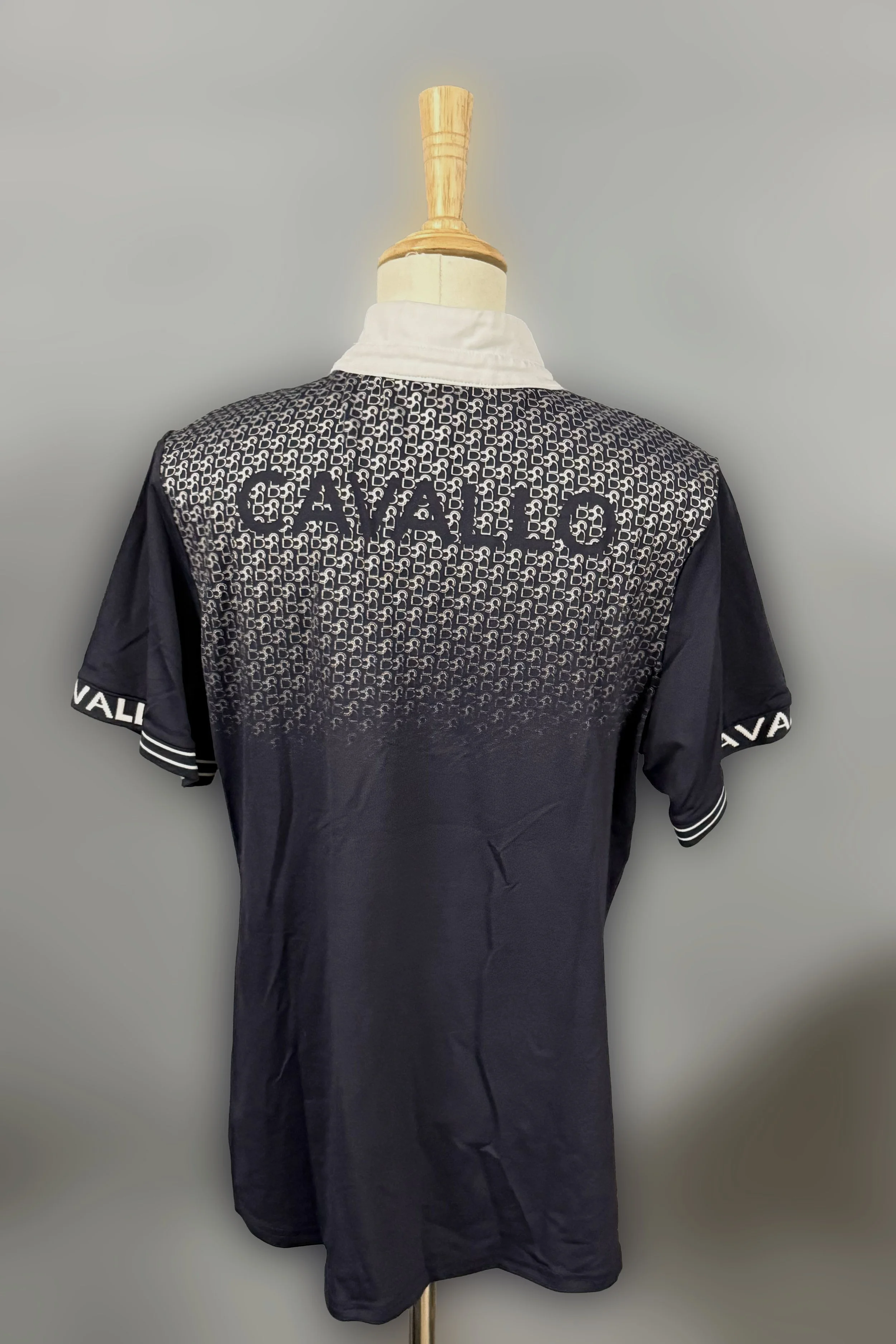 cavallo show 1 .jpg
