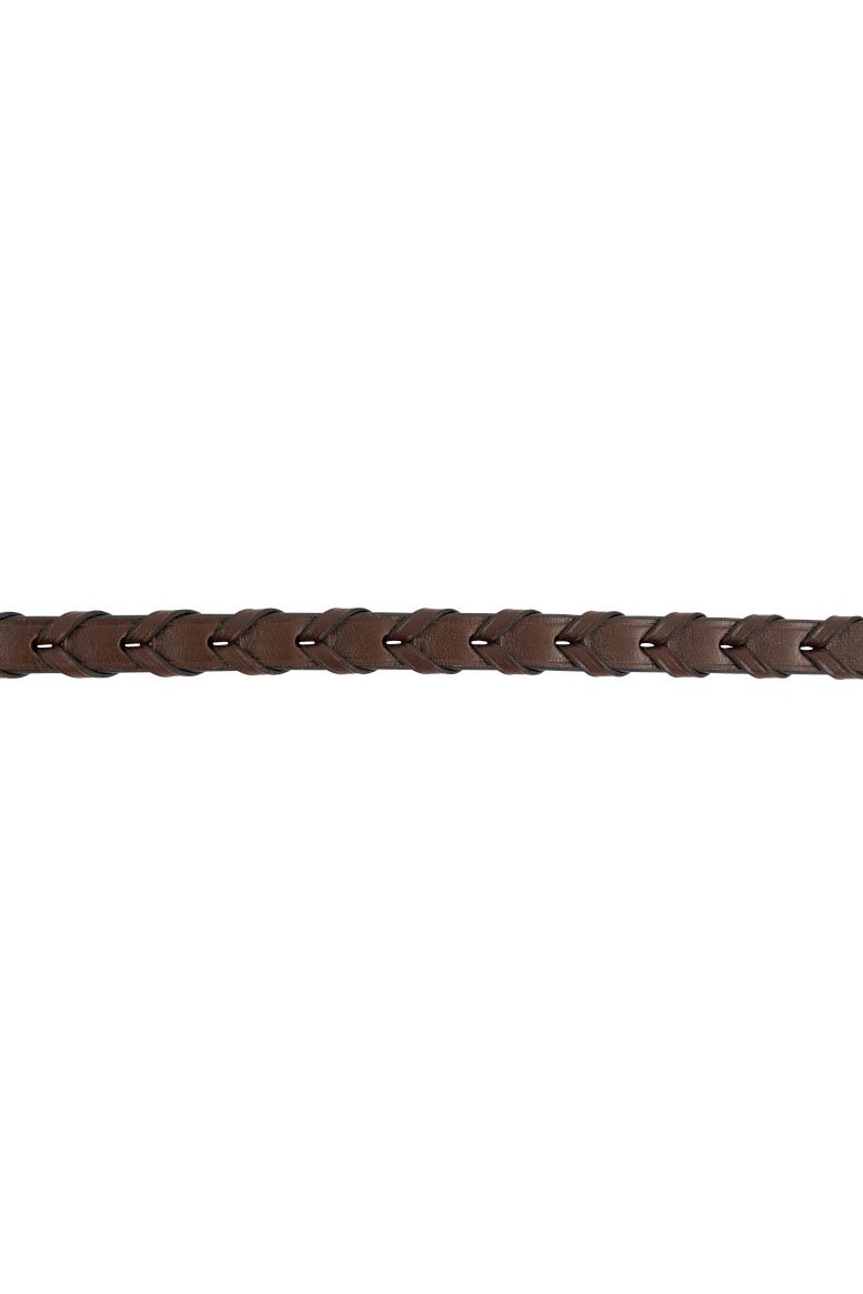 reins.jpg