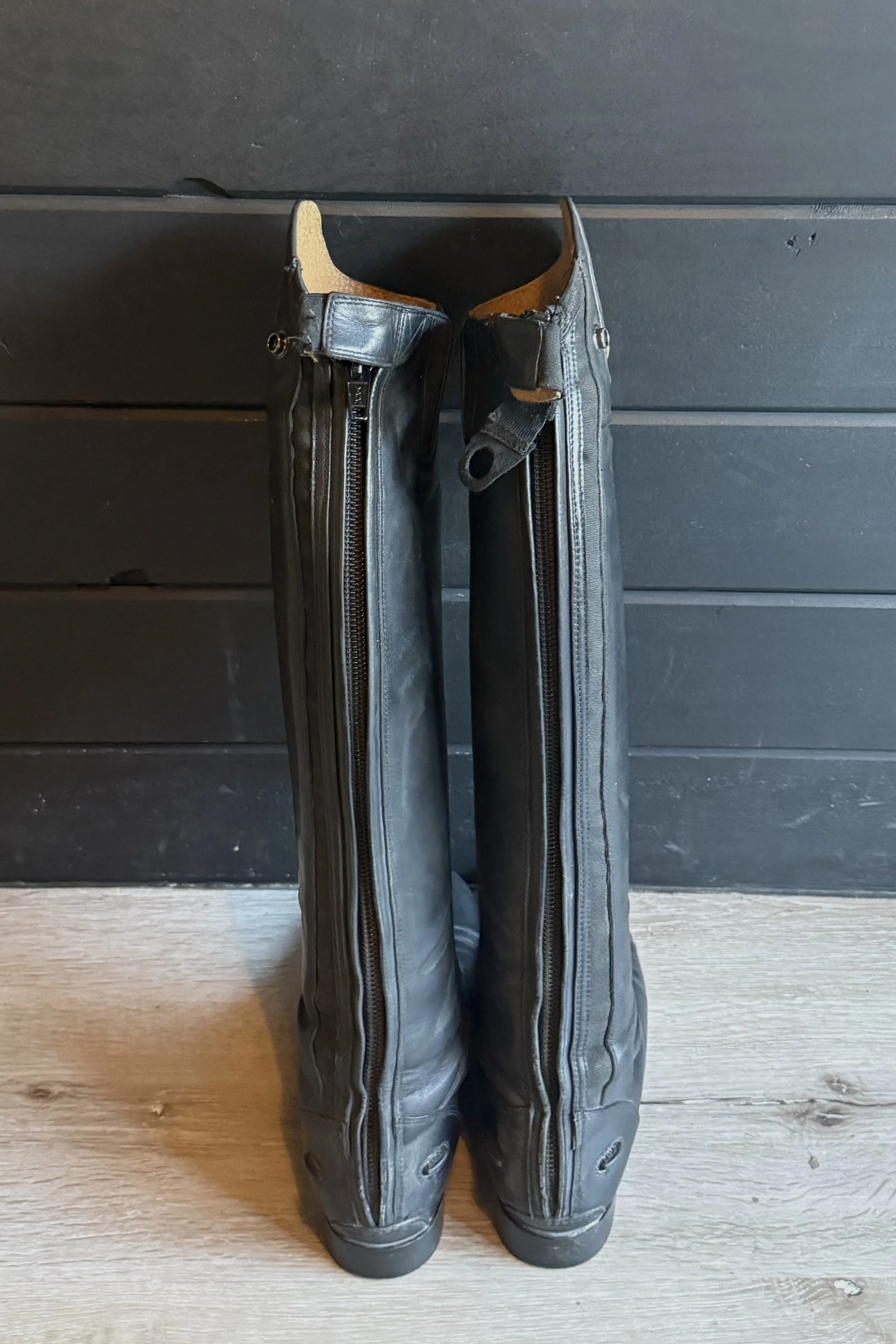 Ariat 1.jpg