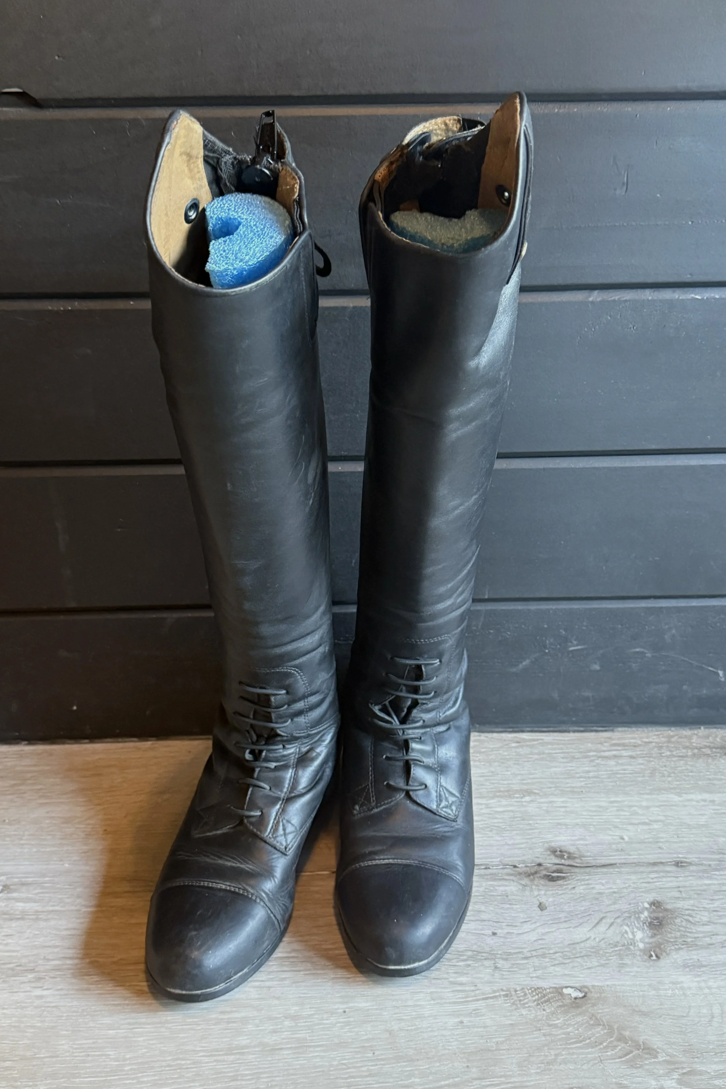 ariat 3.jpg