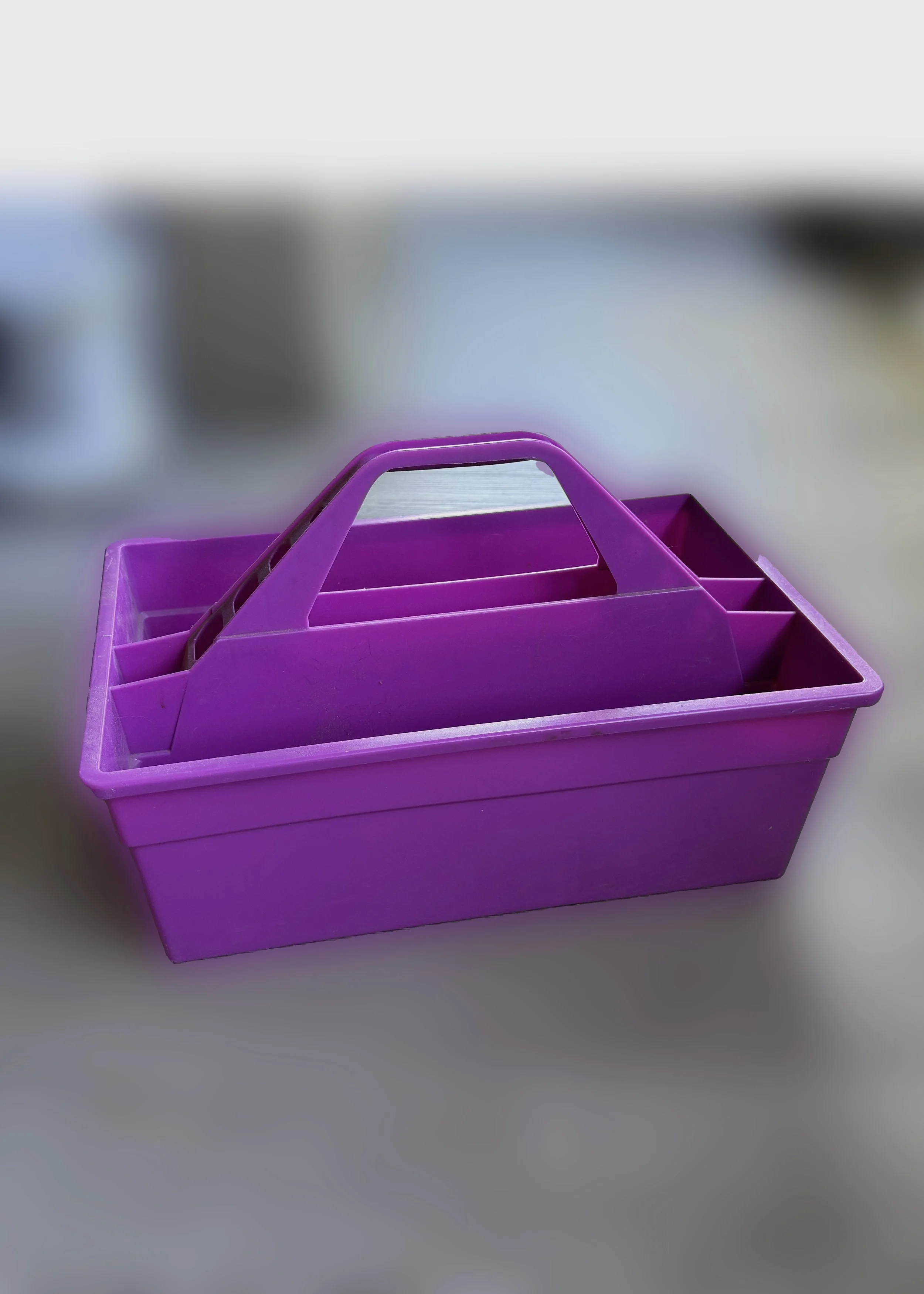 Tote.jpg