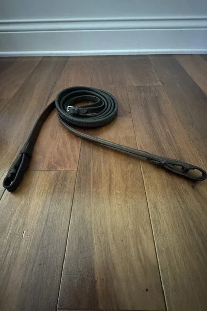 reins-2.jpg