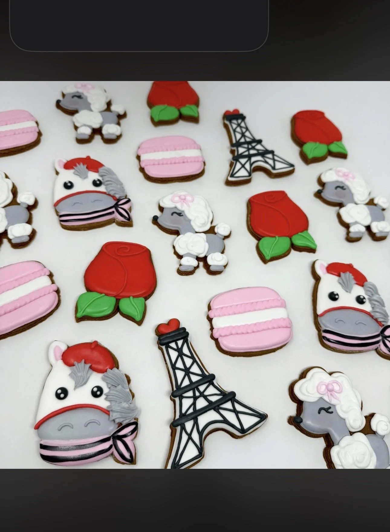 Mane Delights Horse Treats - Horses In Paris