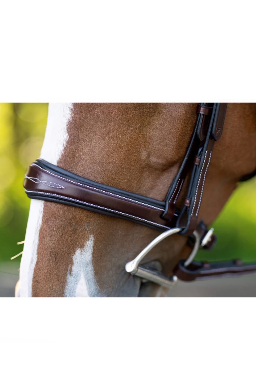KL Select Hampton Bridle In Brown - 2nd Round Equestrian