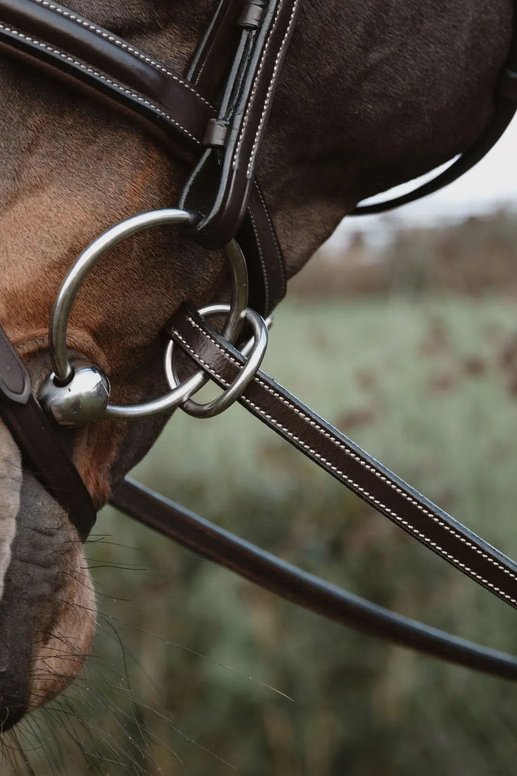 Dy'on Rubber Reins 1/2" with 7 Leather Stops Ring Closure In Brown