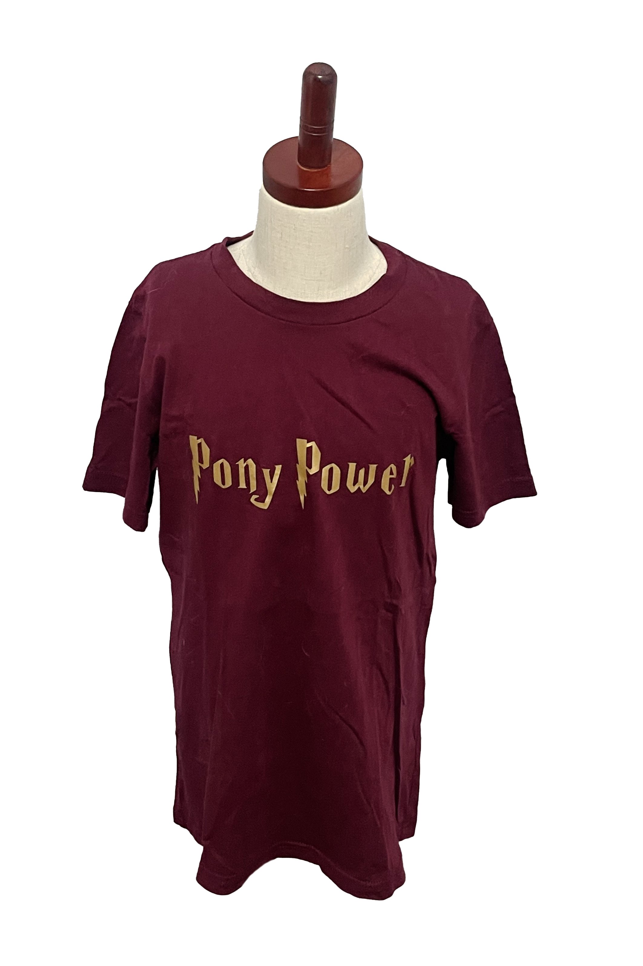 Equestrian AF "Pony Power" Short Sleeve Tee In Maroon - Kids Large