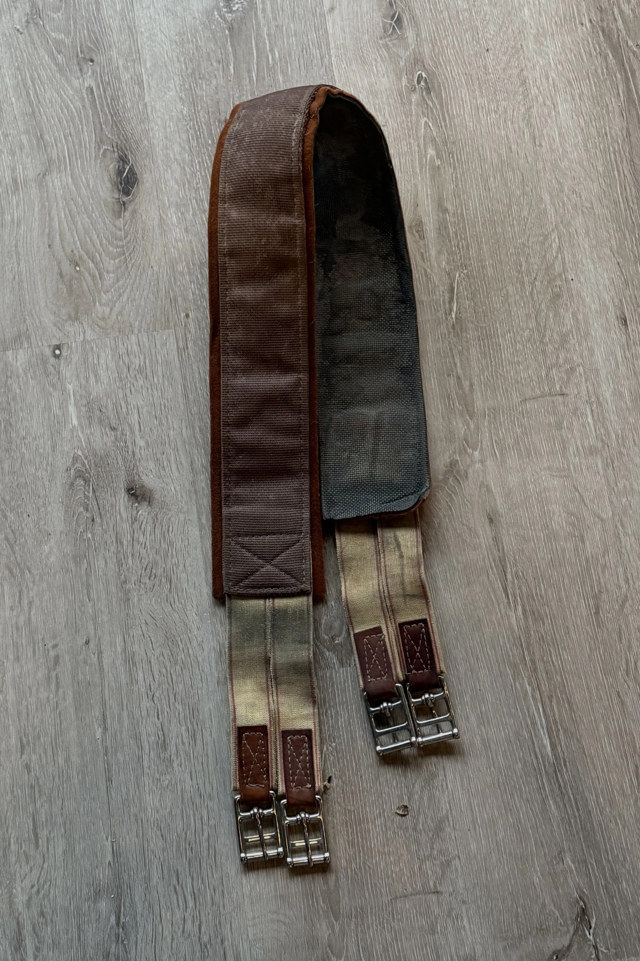 professional choice 1 .jpg