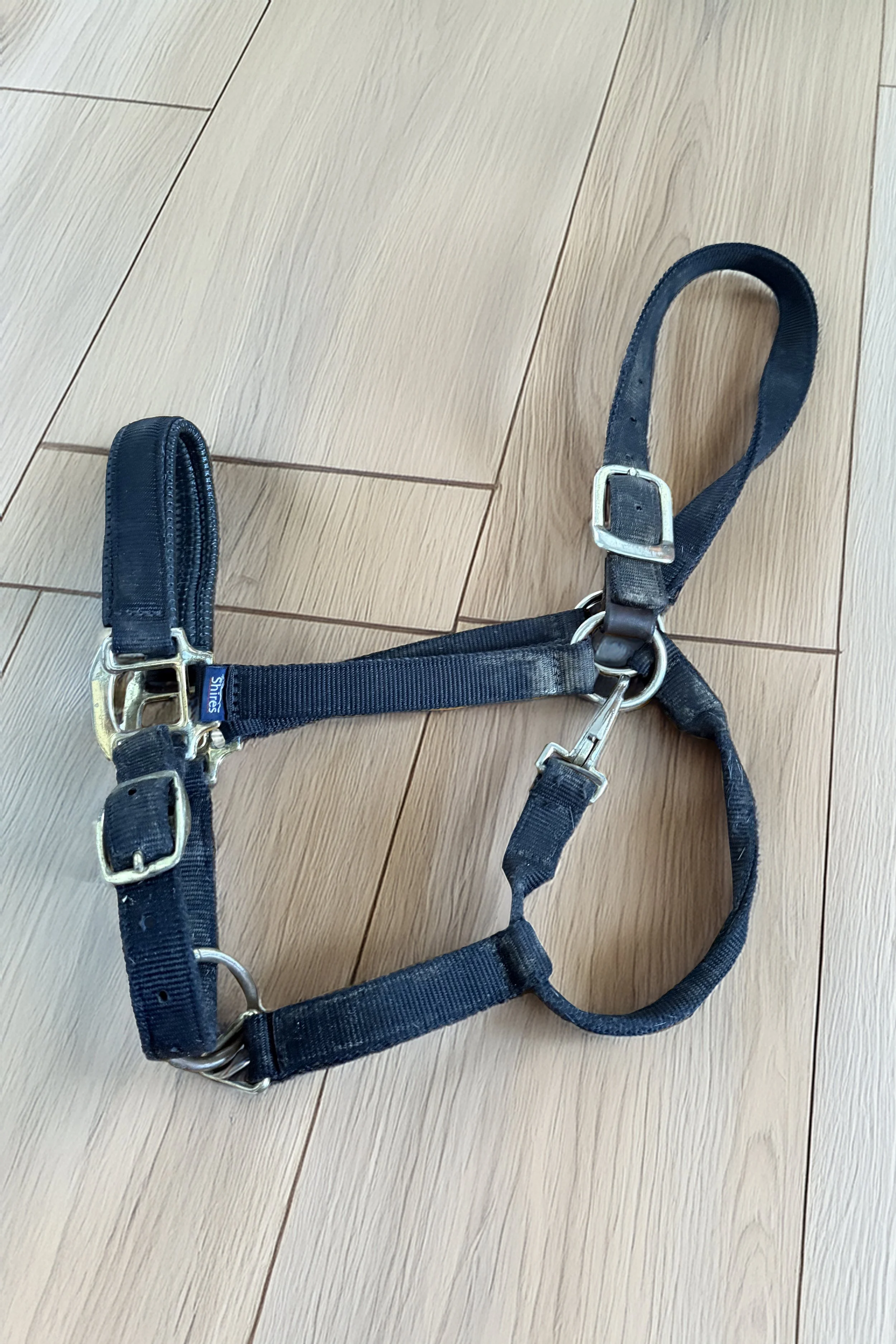 Black Halter .jpg
