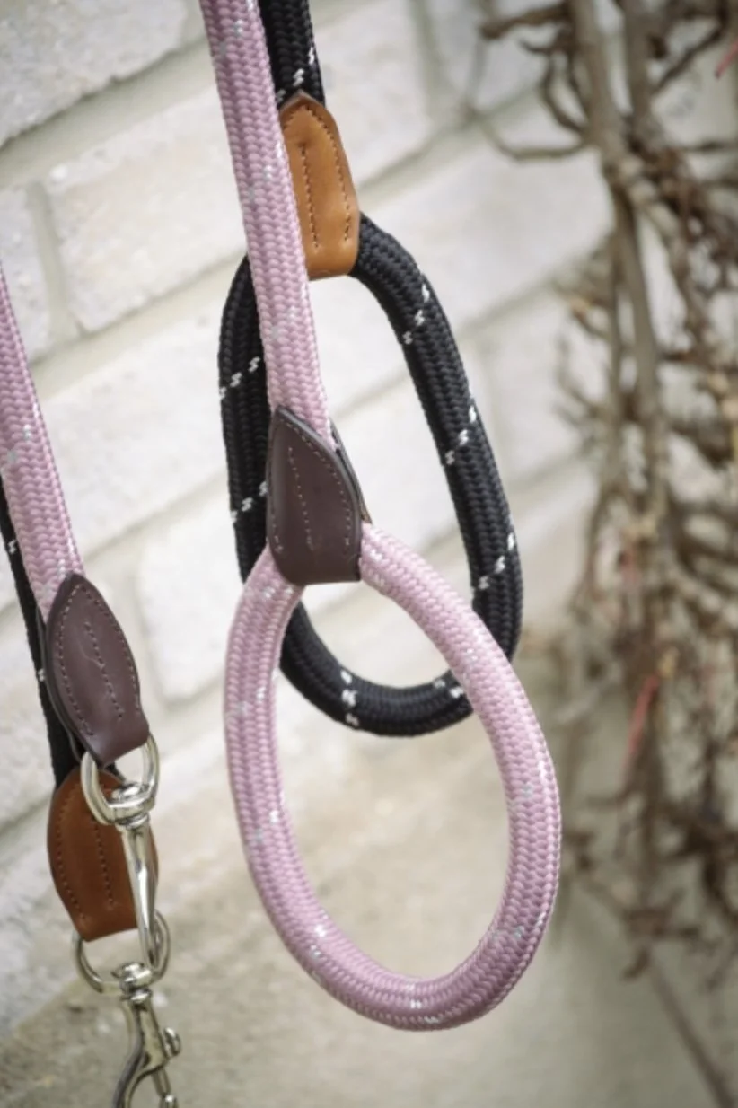 leash-6.jpg