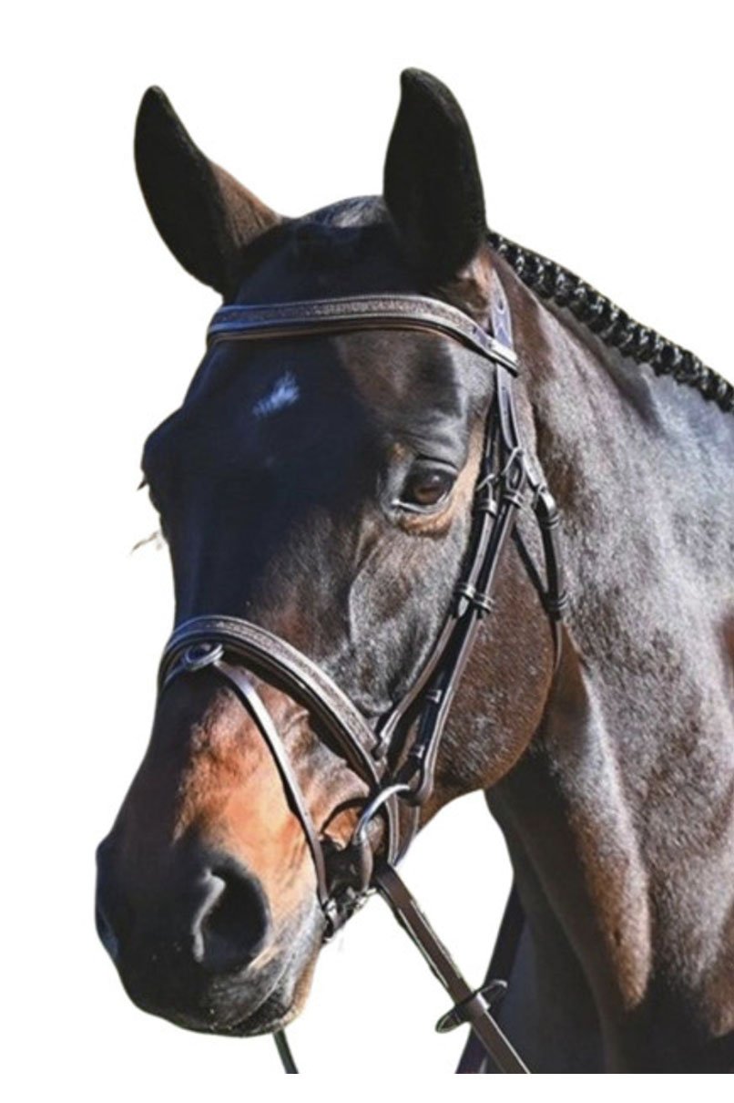 JUMP'IN One Collection Carat Bridle In Havana