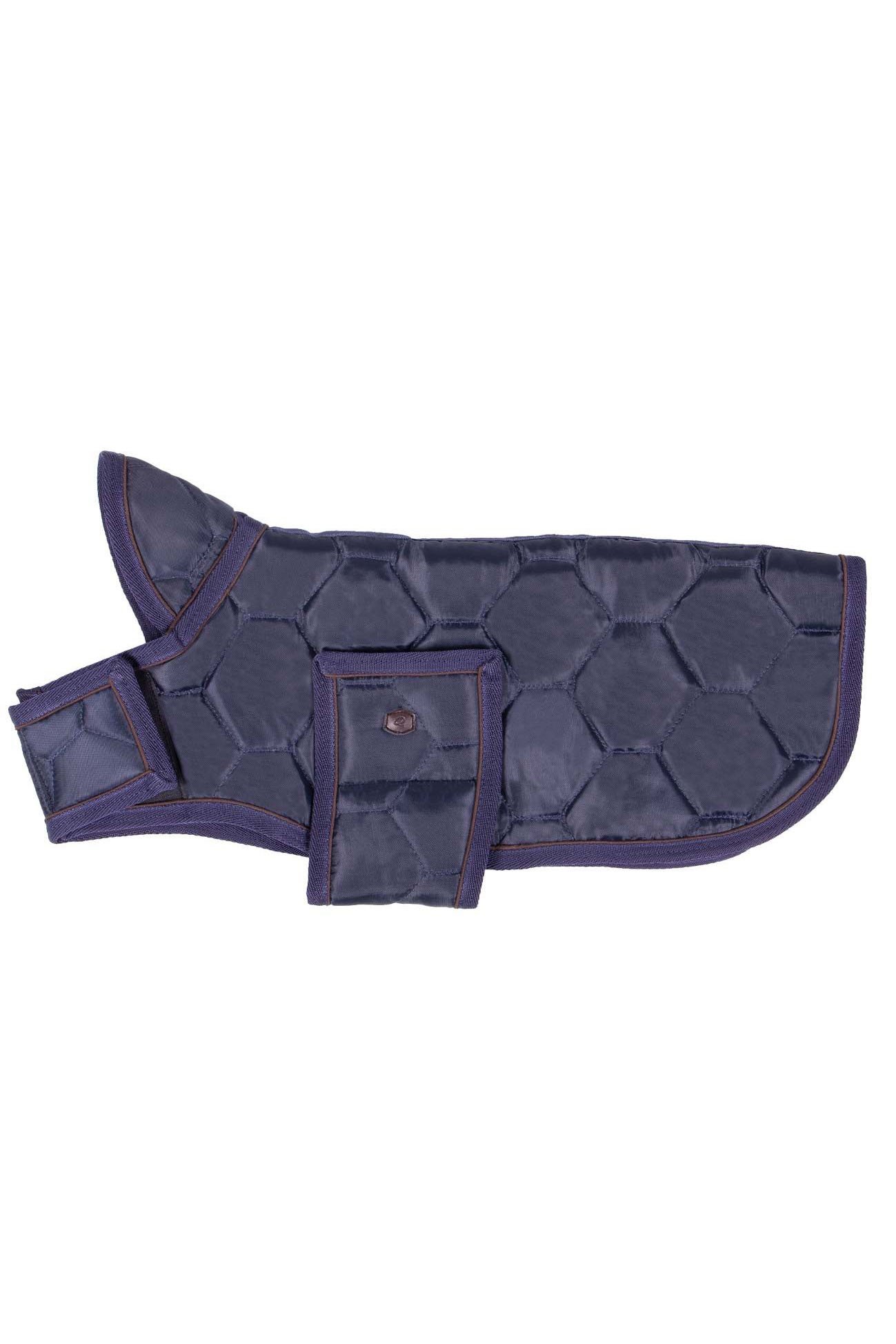 QHP Classy Dog Rug In Navy - 2nd Round Equestrian