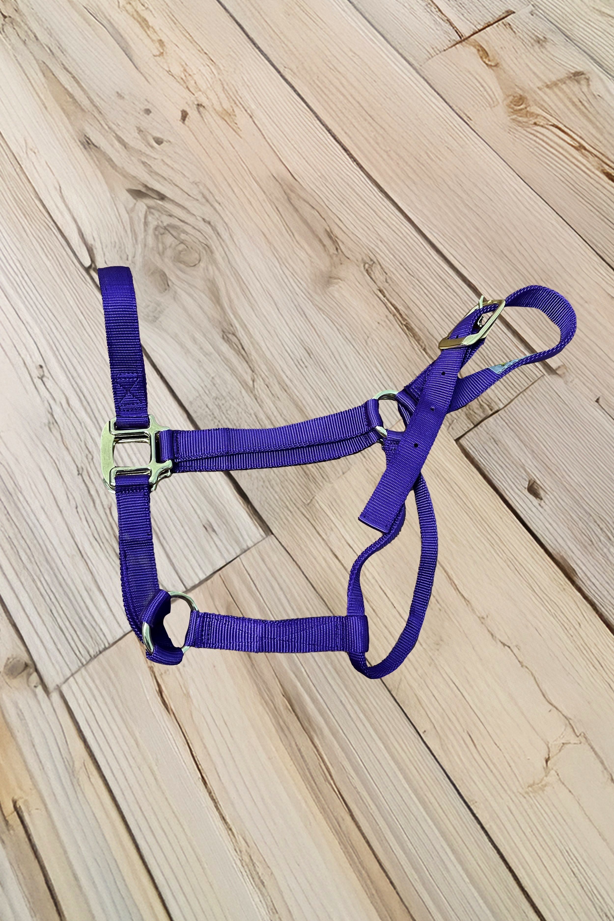 Nylon Halter In Purple - Large