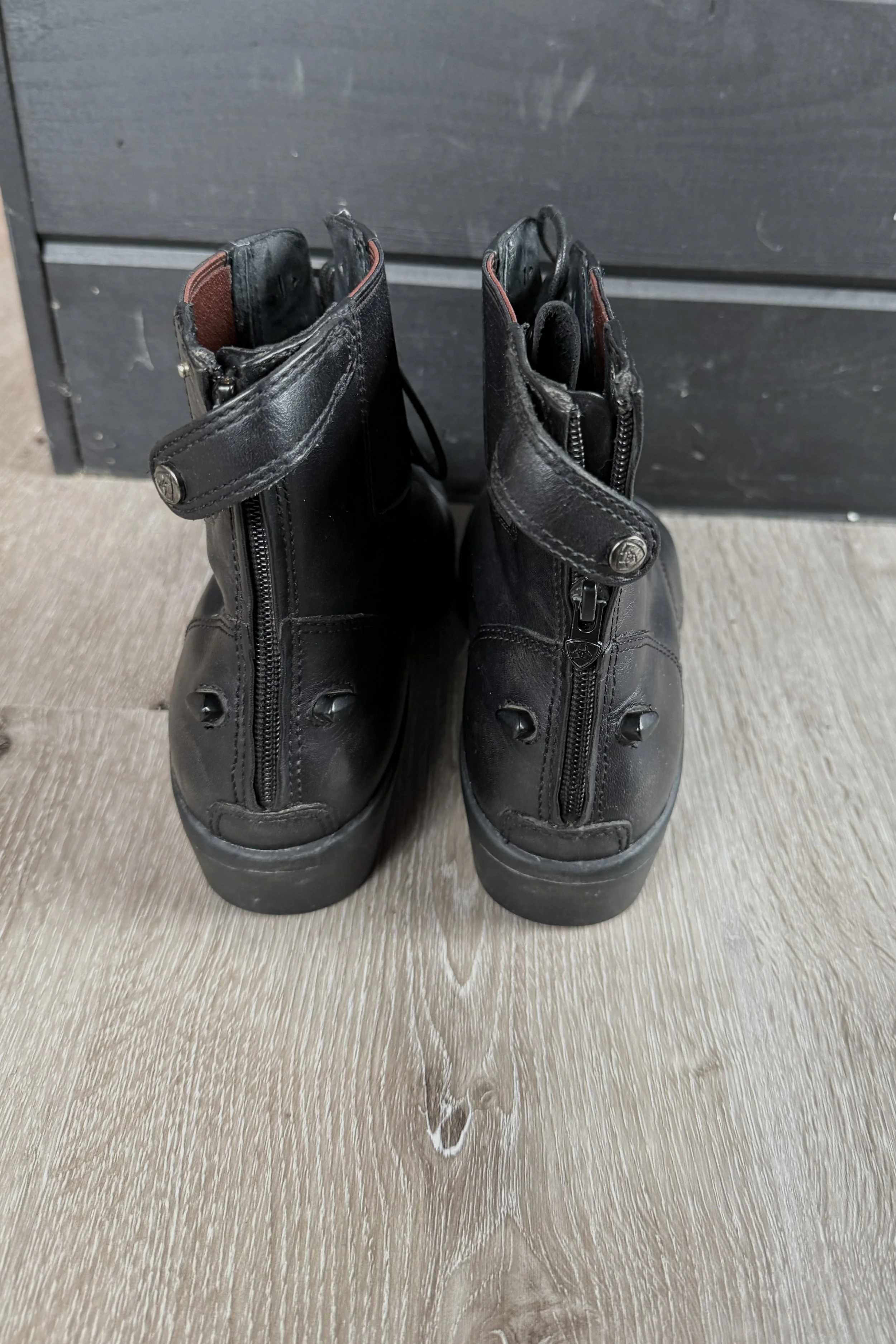 ariat 1 .jpg