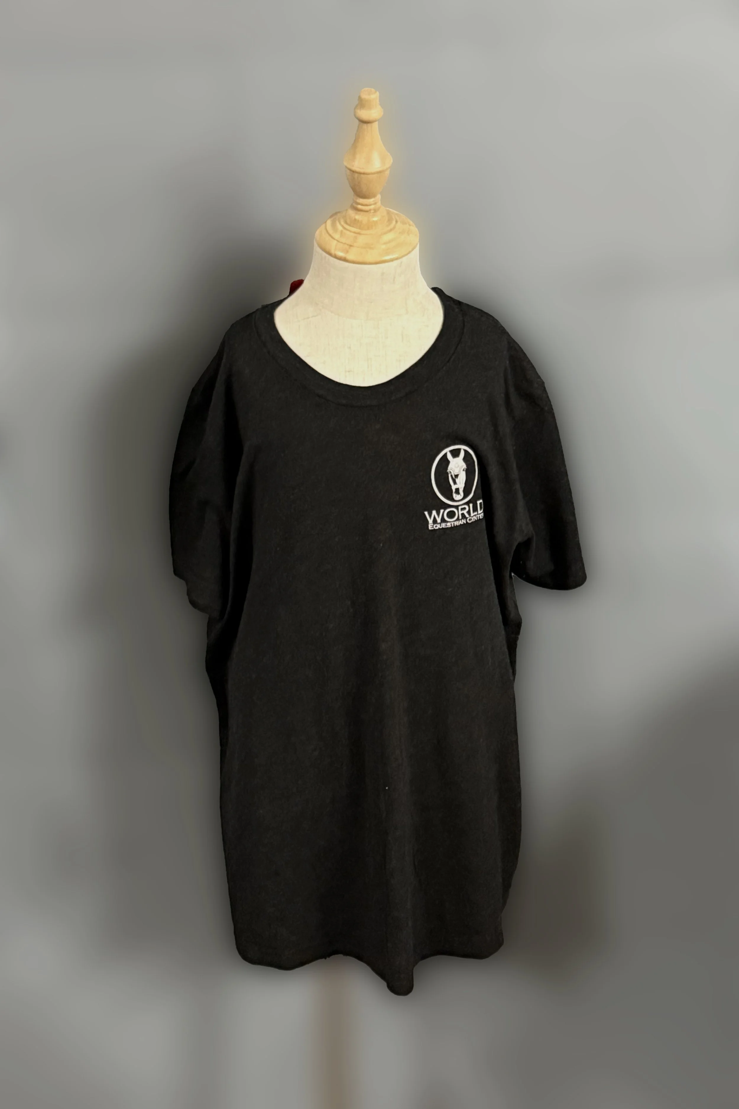 Bella Canvas Short Sleeve T-Shirt With WEC Logo In Black - Kids Large