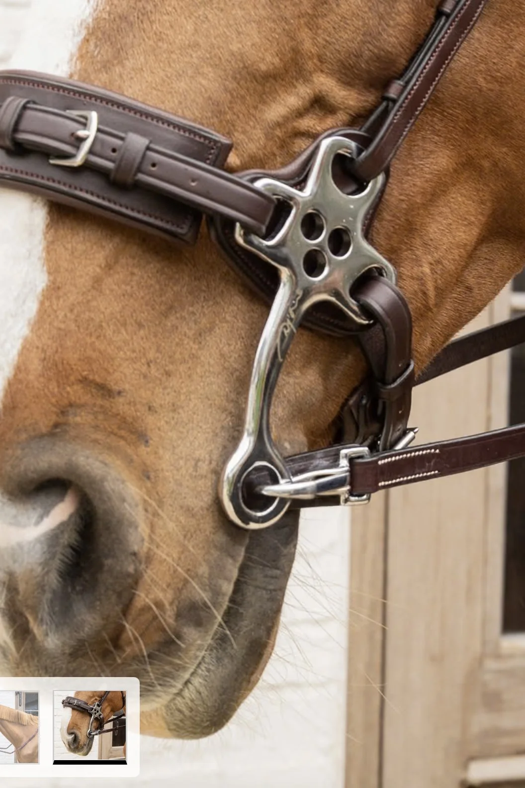 reins-4.jpg