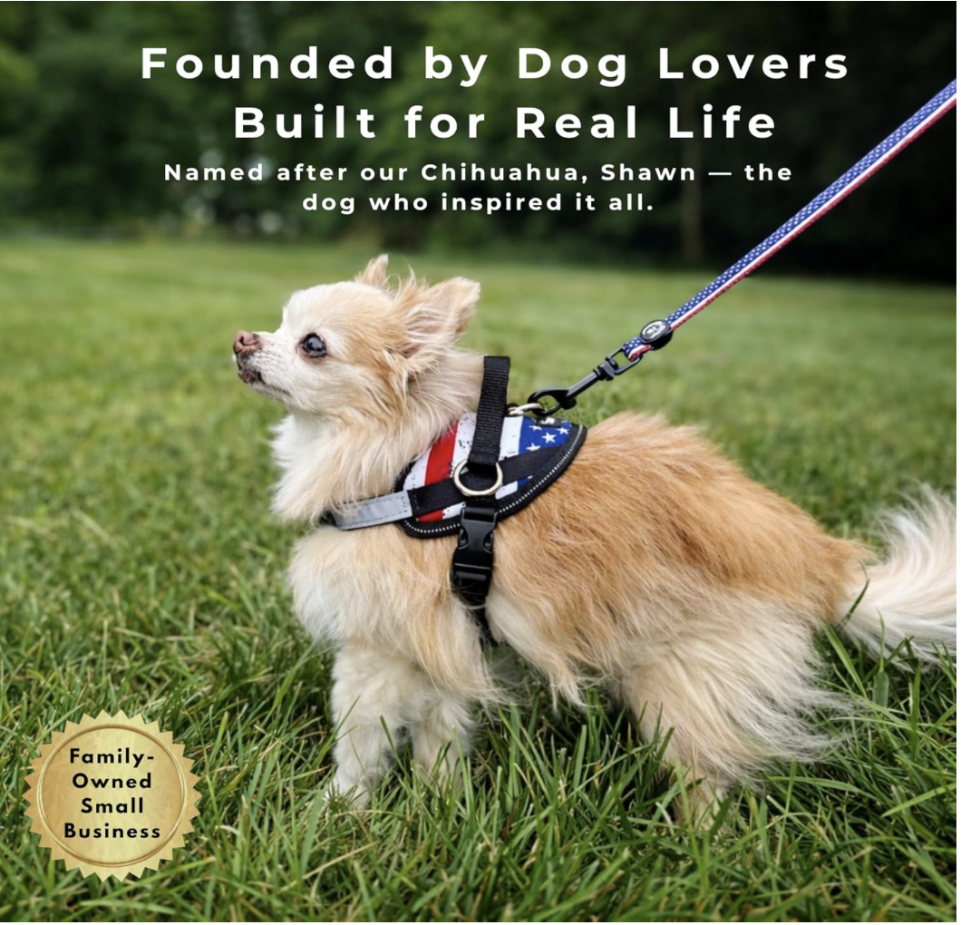 Screenshot 2026-04-01 at 9.03.39 PM.png (Copy)