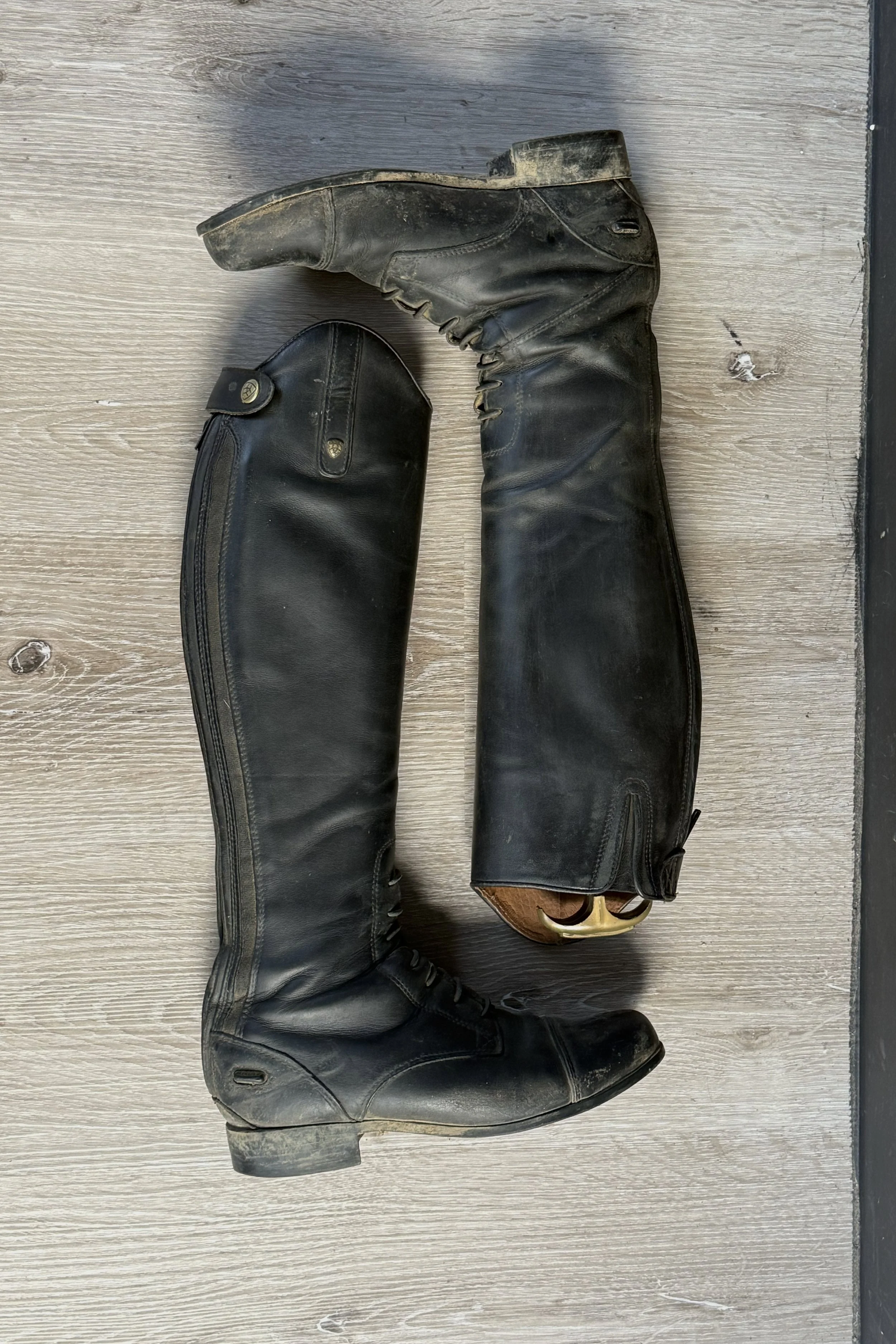 Ariat 1 .jpg