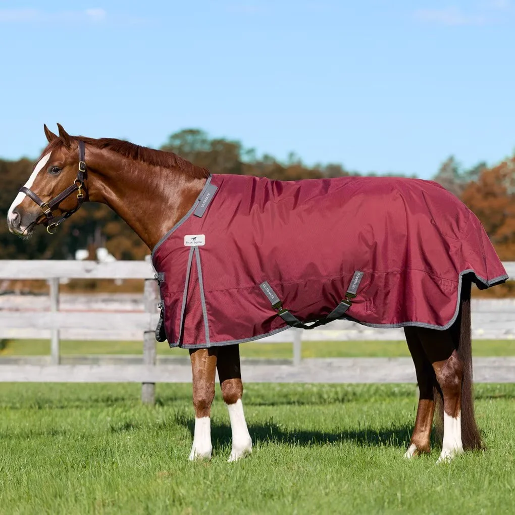 blanket 3.jpg