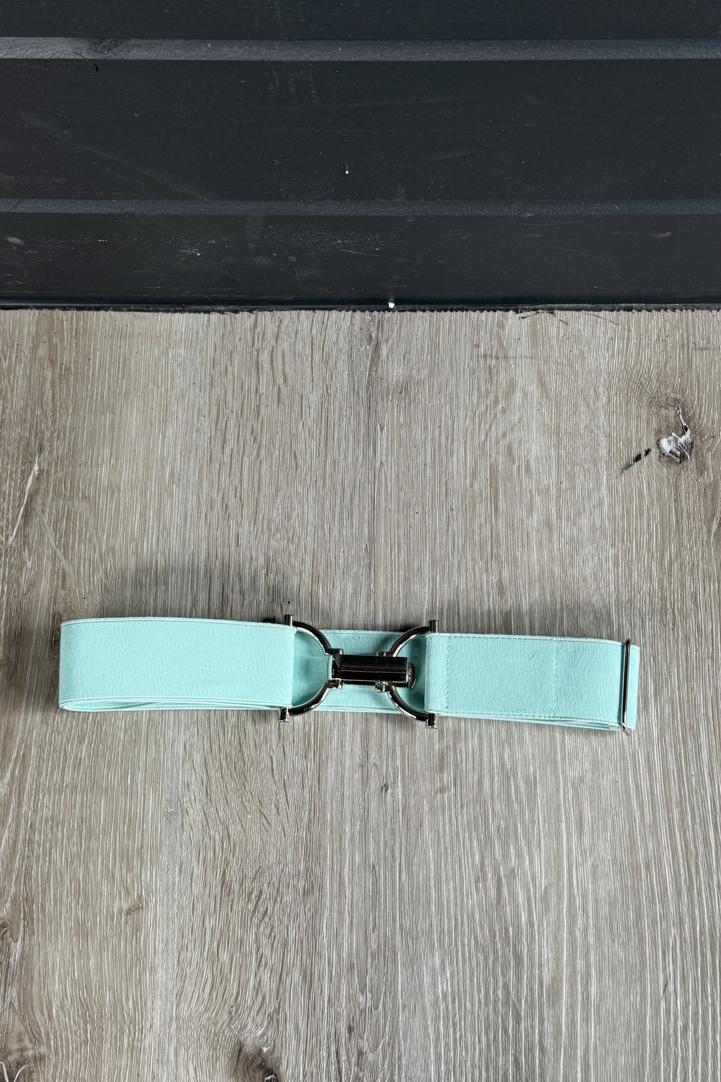 Bedford Jones Elastic Belt With Clip Buckle In Teal & Silver - 1.5"