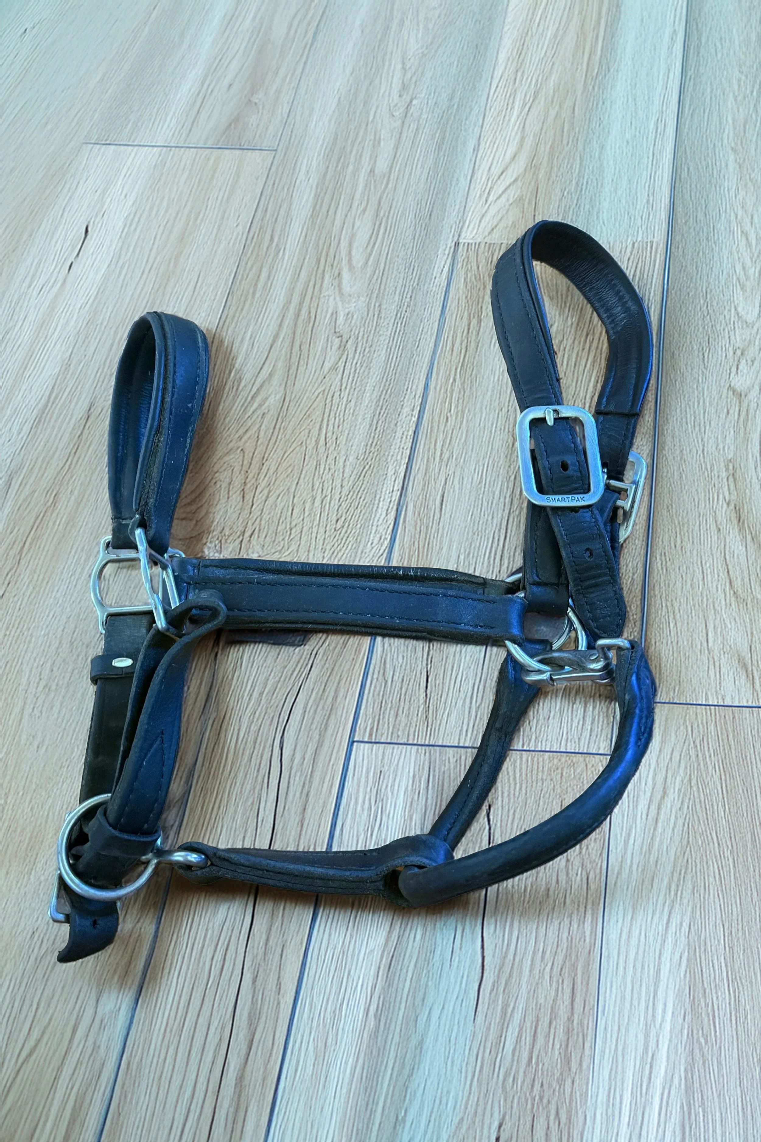 Halter+2.jpg