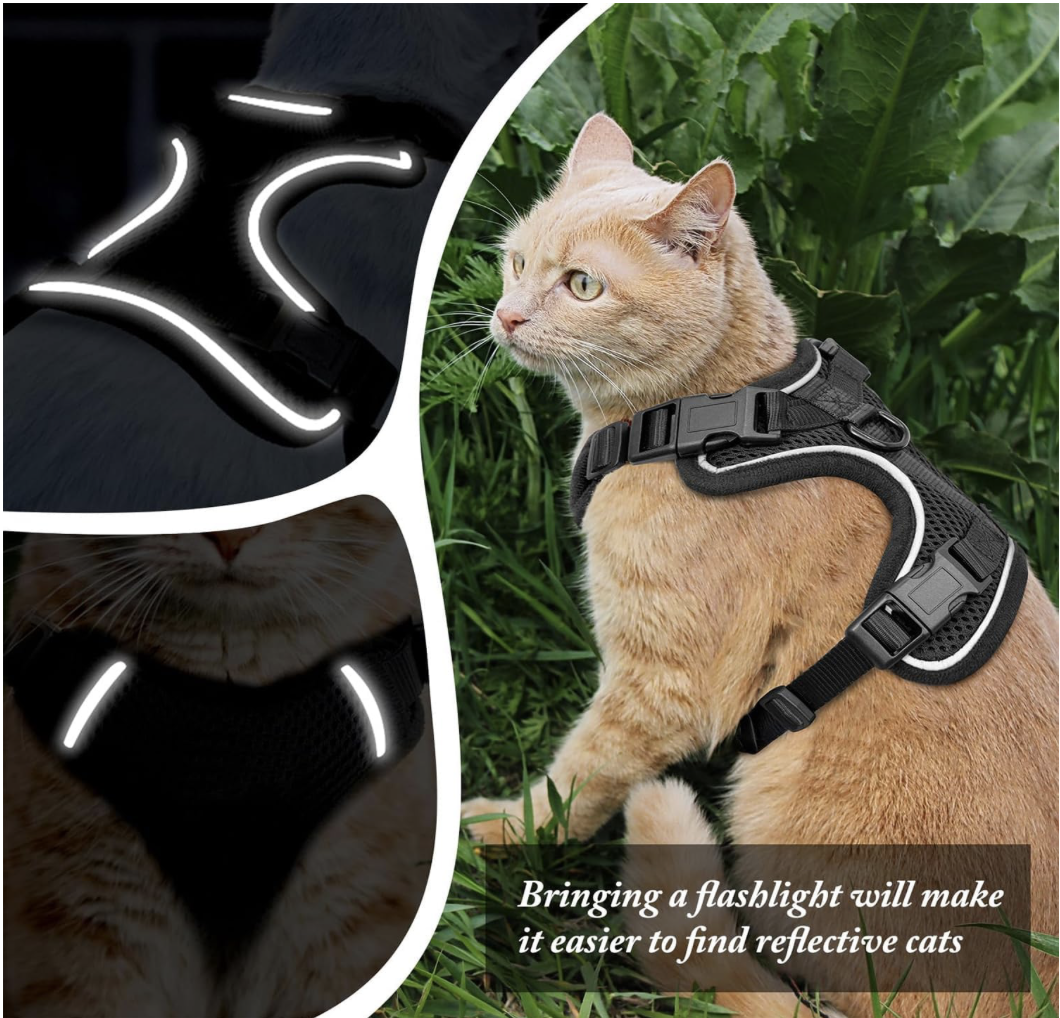 Screenshot 2026-04-02 at 7.41.17 PM.png