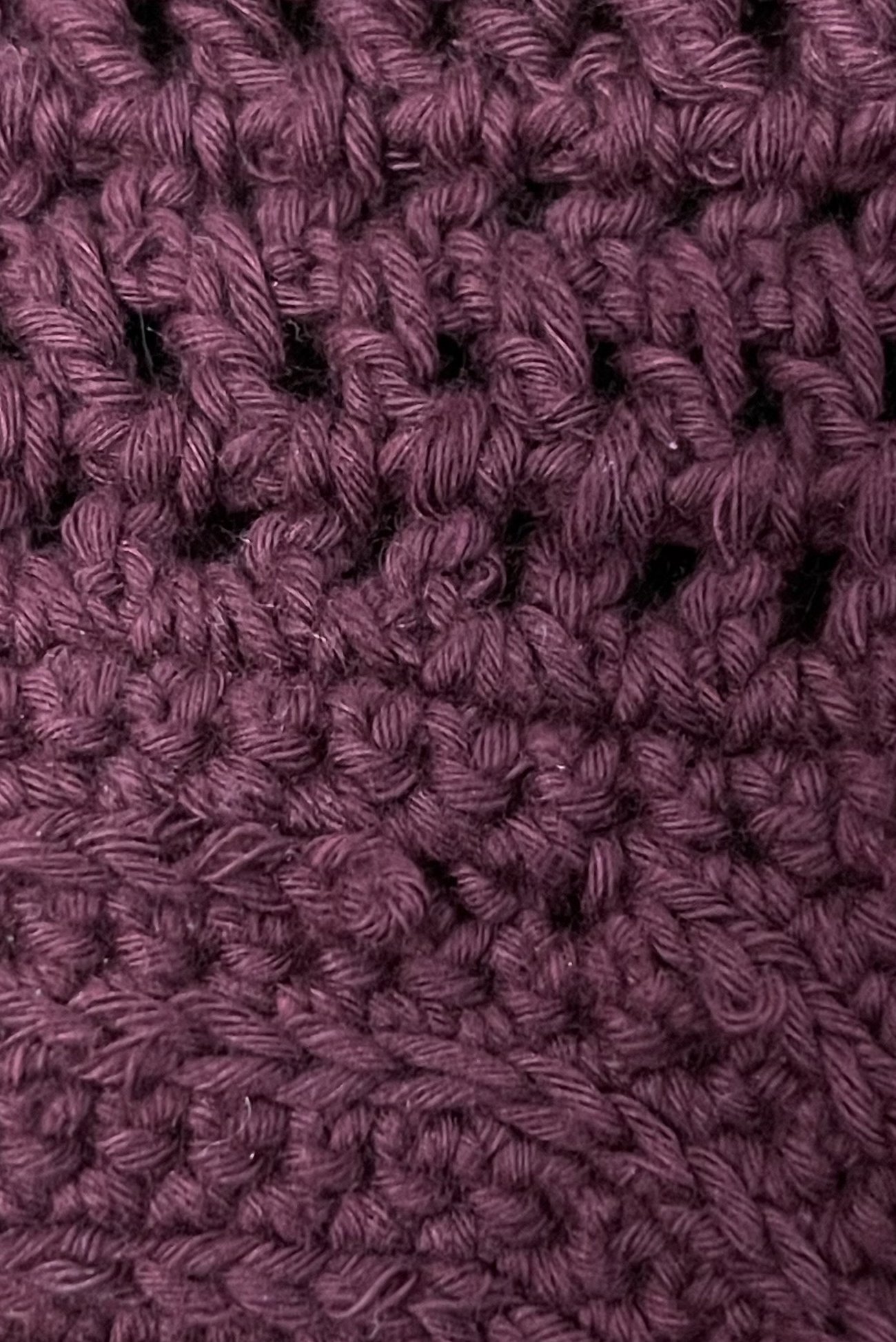 fly veil 1 .jpg
